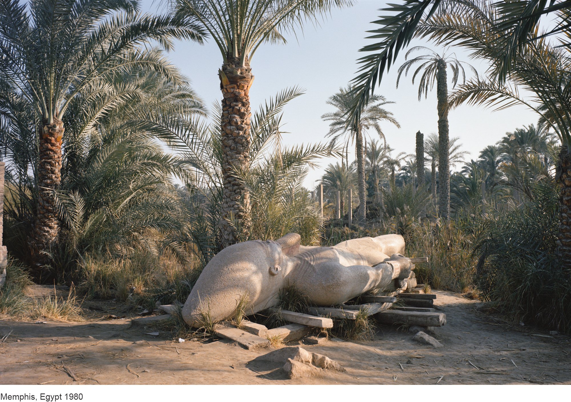 12-Mitch Epstein-Memphis, Egypt 1980.jpg