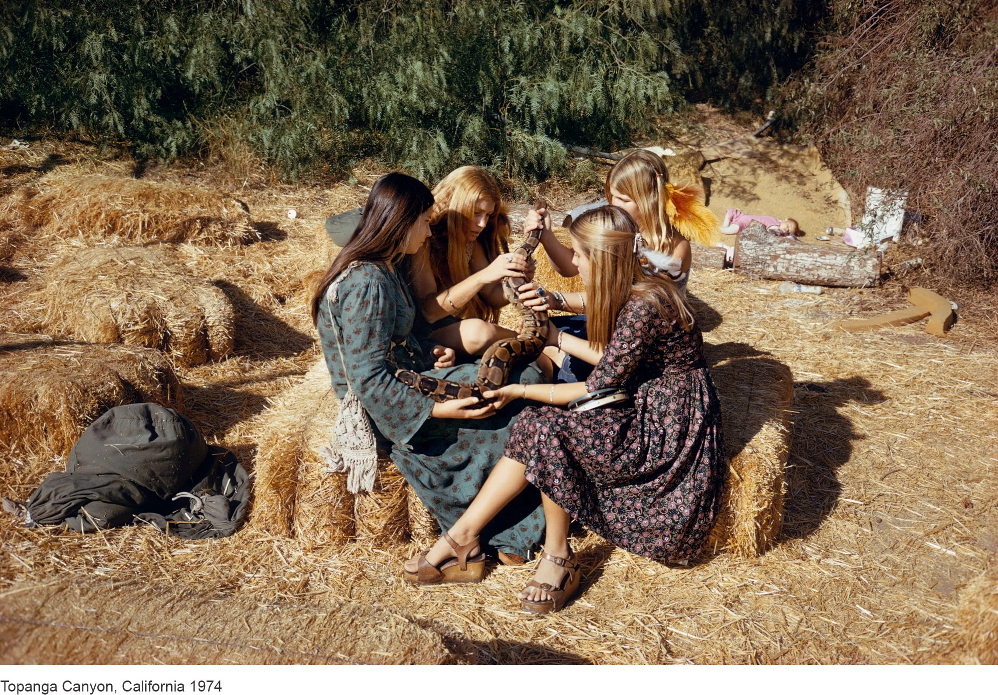 2-Mitch Epstein-Topanga Canyon, California 1974.jpg