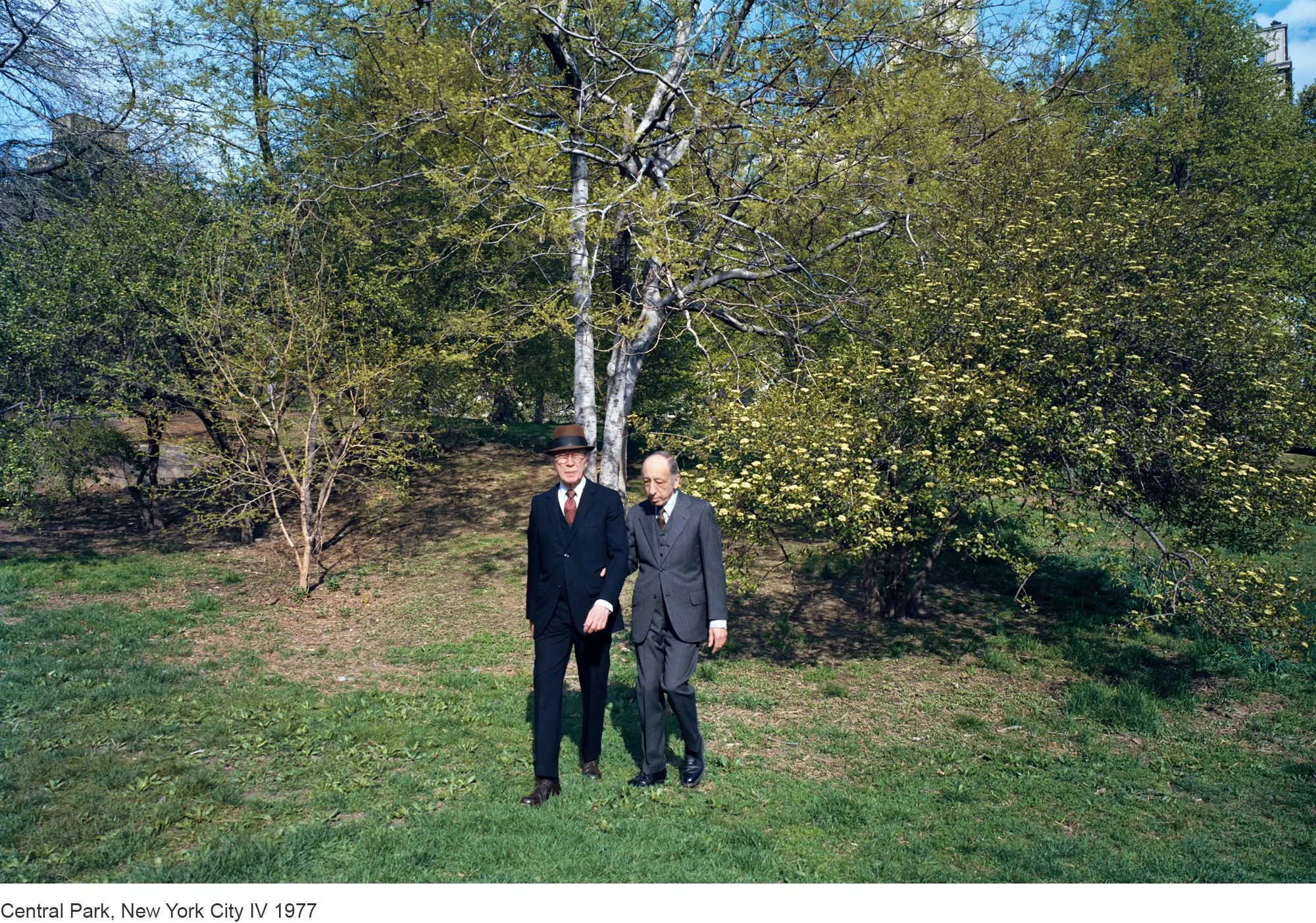 6-Mitch Epstein-Central Park, New York City IV 1977.jpg