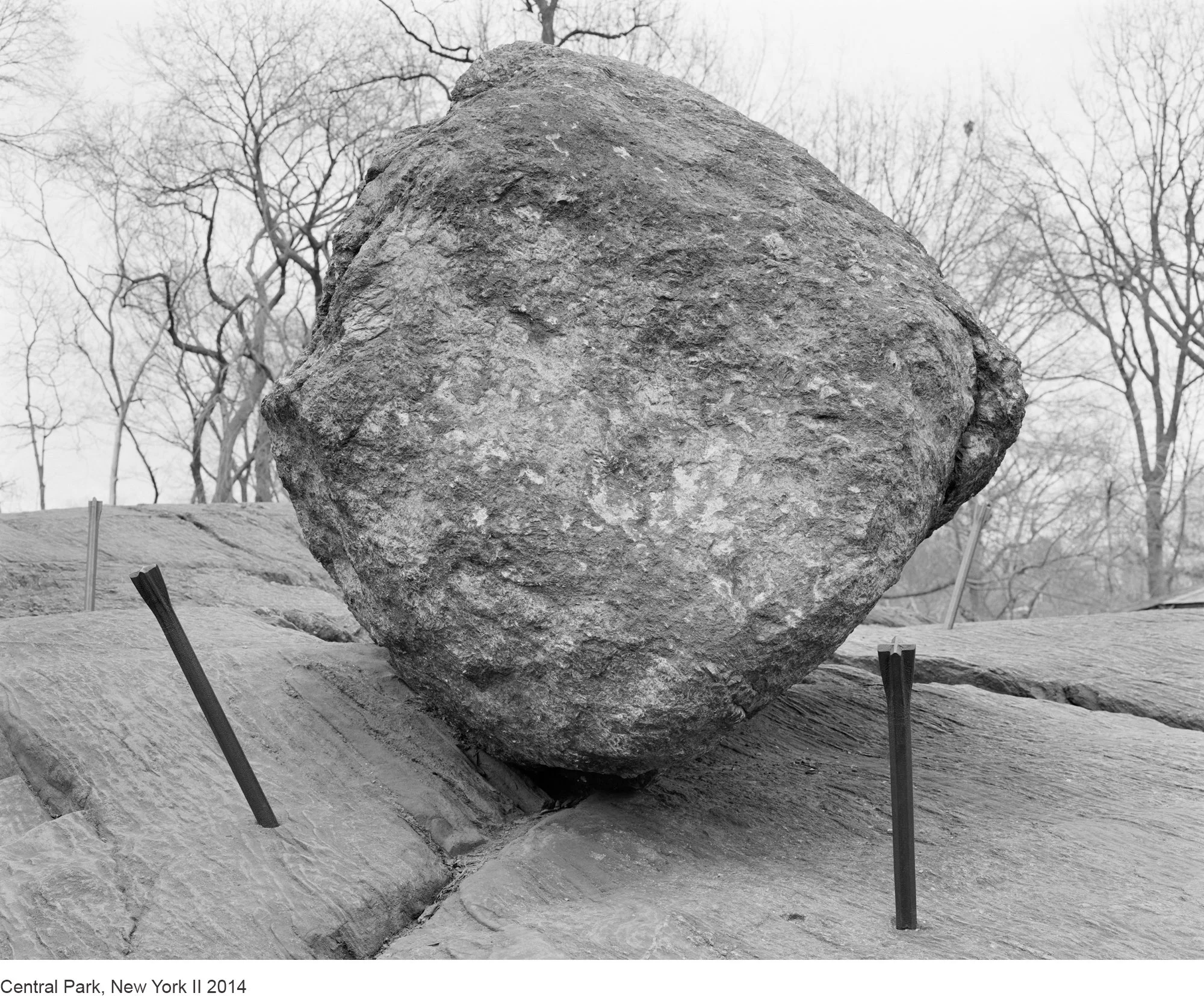 2-Mitch Epstein-Central Park, New York II 2014.jpg