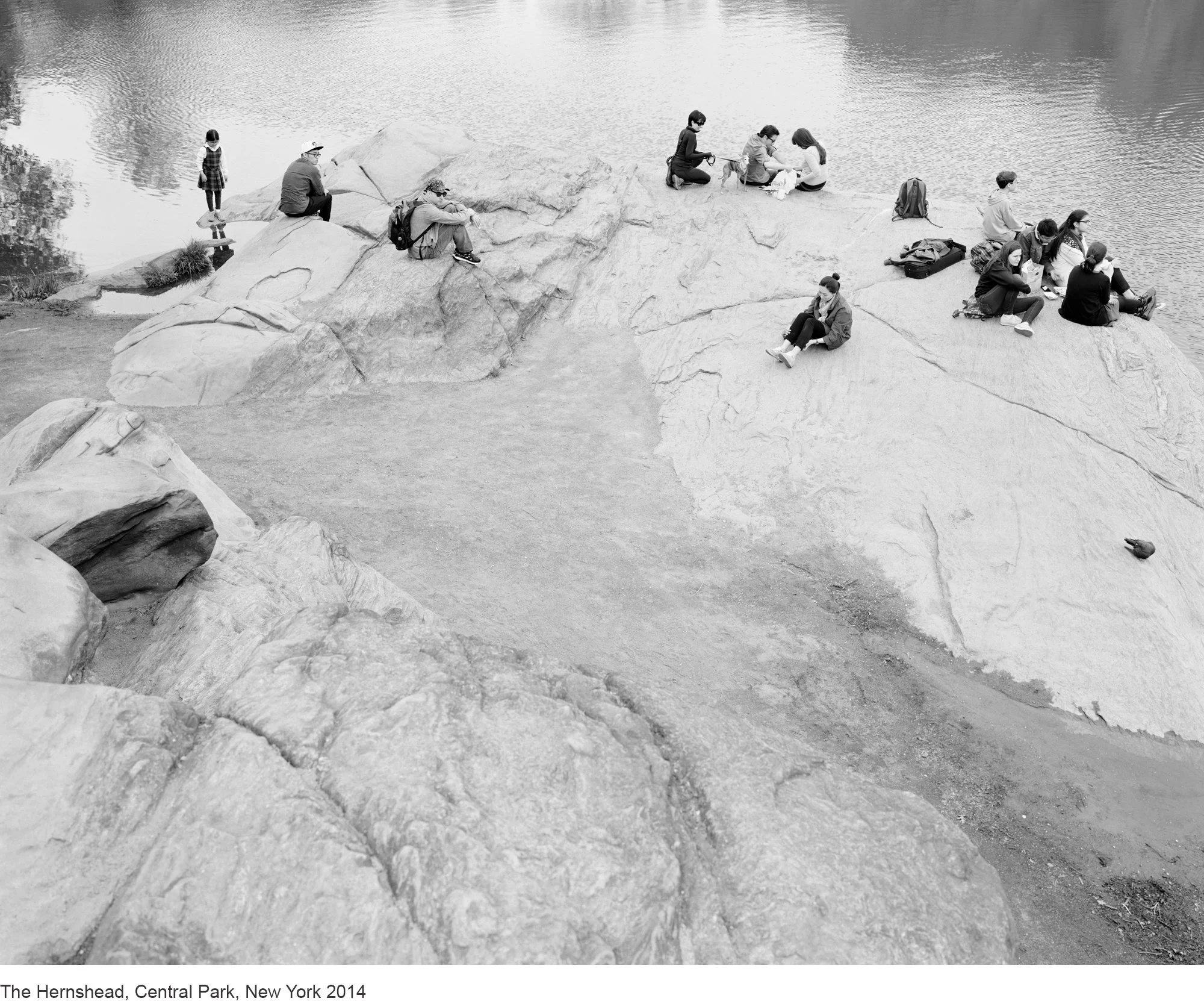 4-Mitch Epstein-The Hernshead, Central Park, New York 2014.jpg