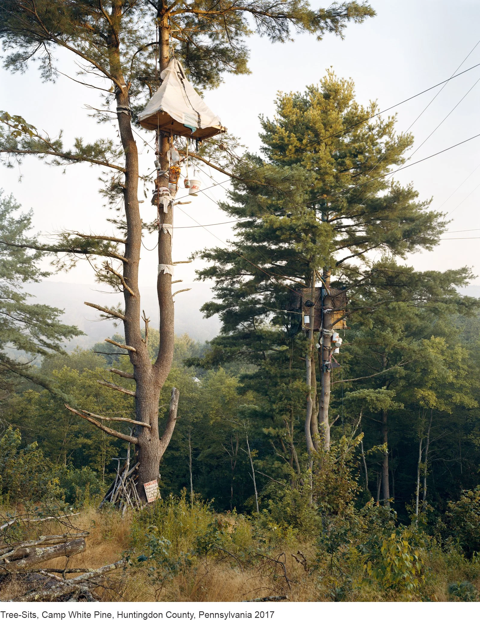 11-Mitch Epstein-Tree-Sits, Camp White Pine, Huntingdon County, Pennsylvania 2017.jpg