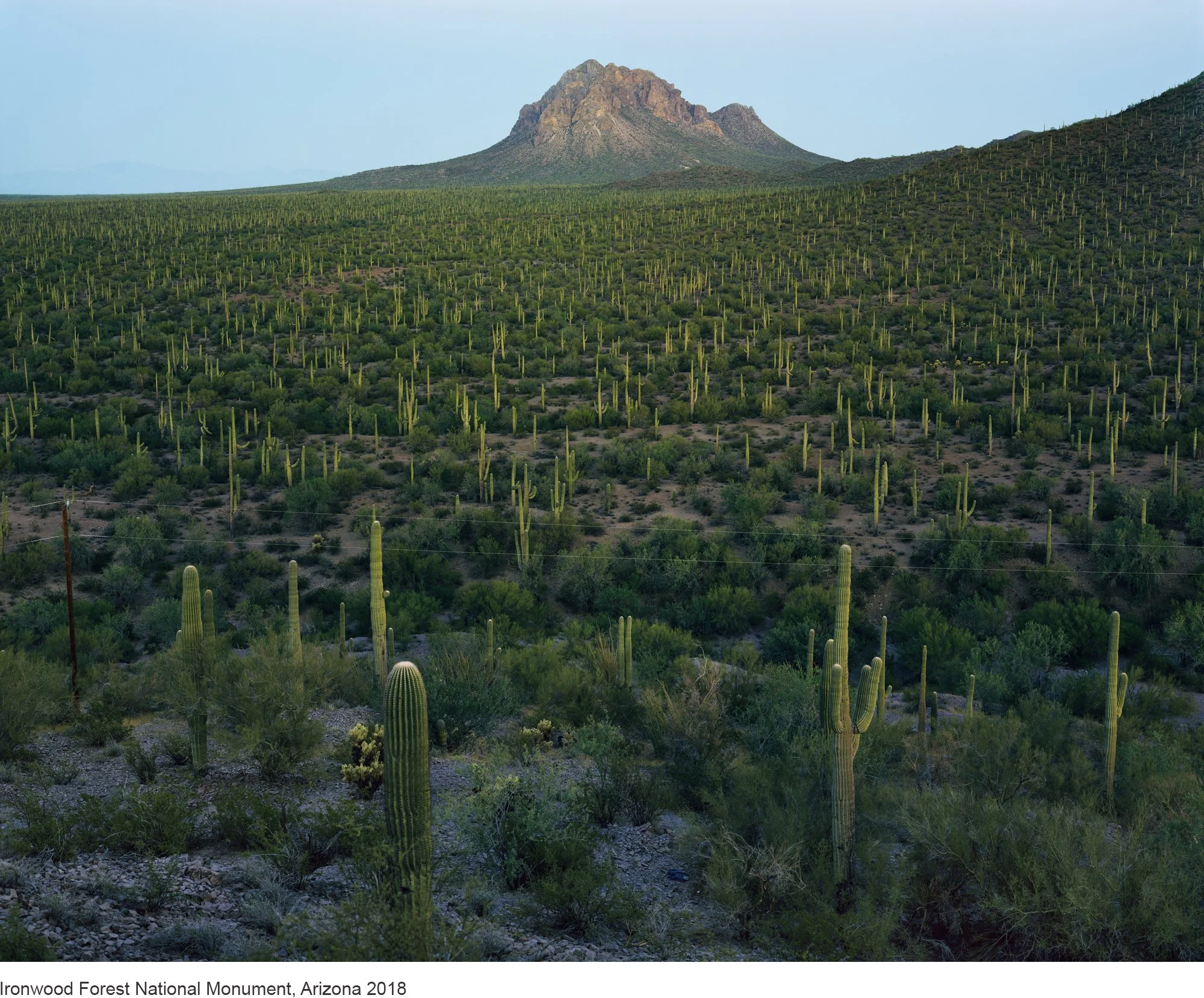 12-Mitch Epstein-Ironwood Forest National Monument, Arizona 2018.jpg