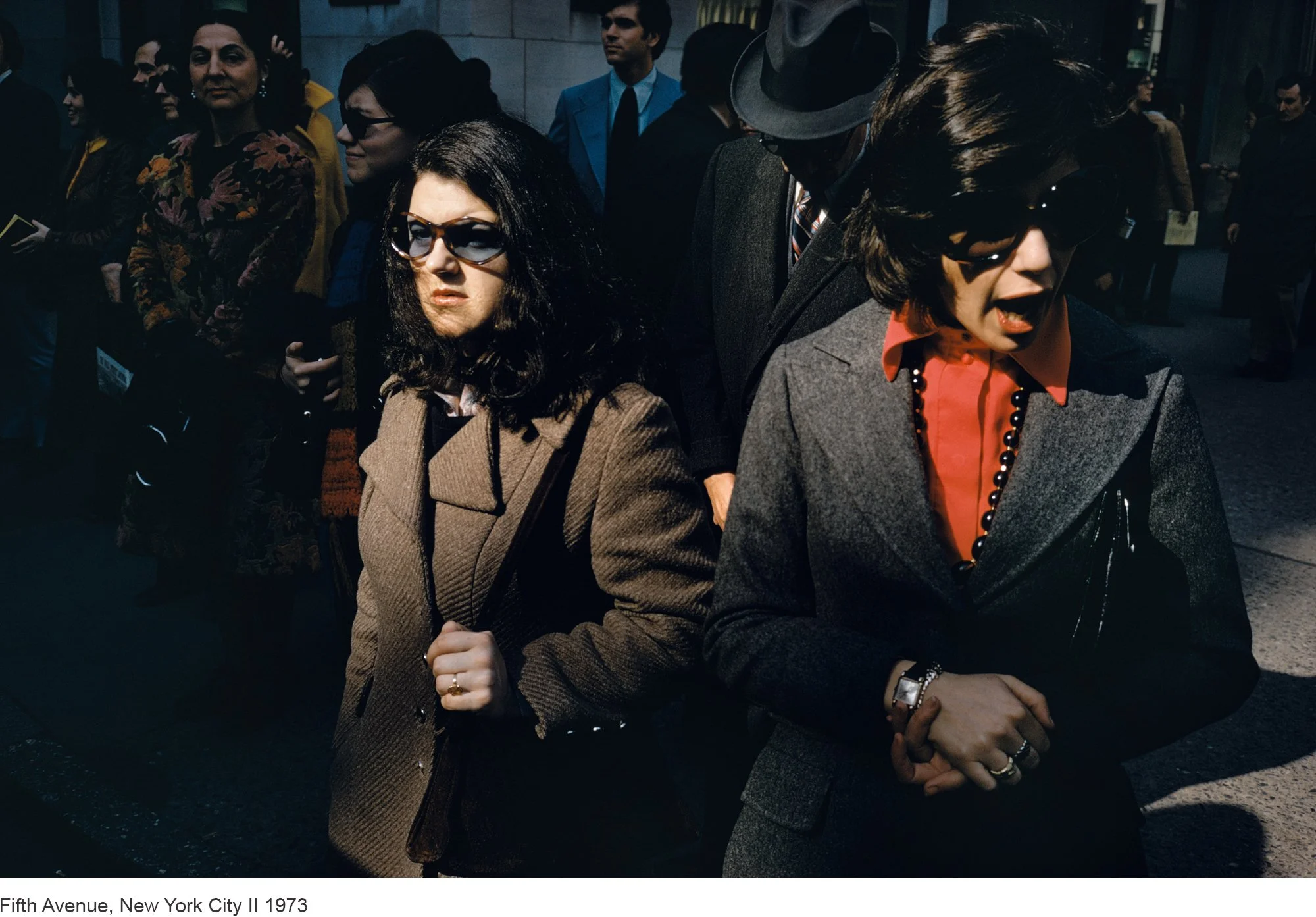 13-Mitch Epstein-Fifth Avenue, New York City II 1973.jpg