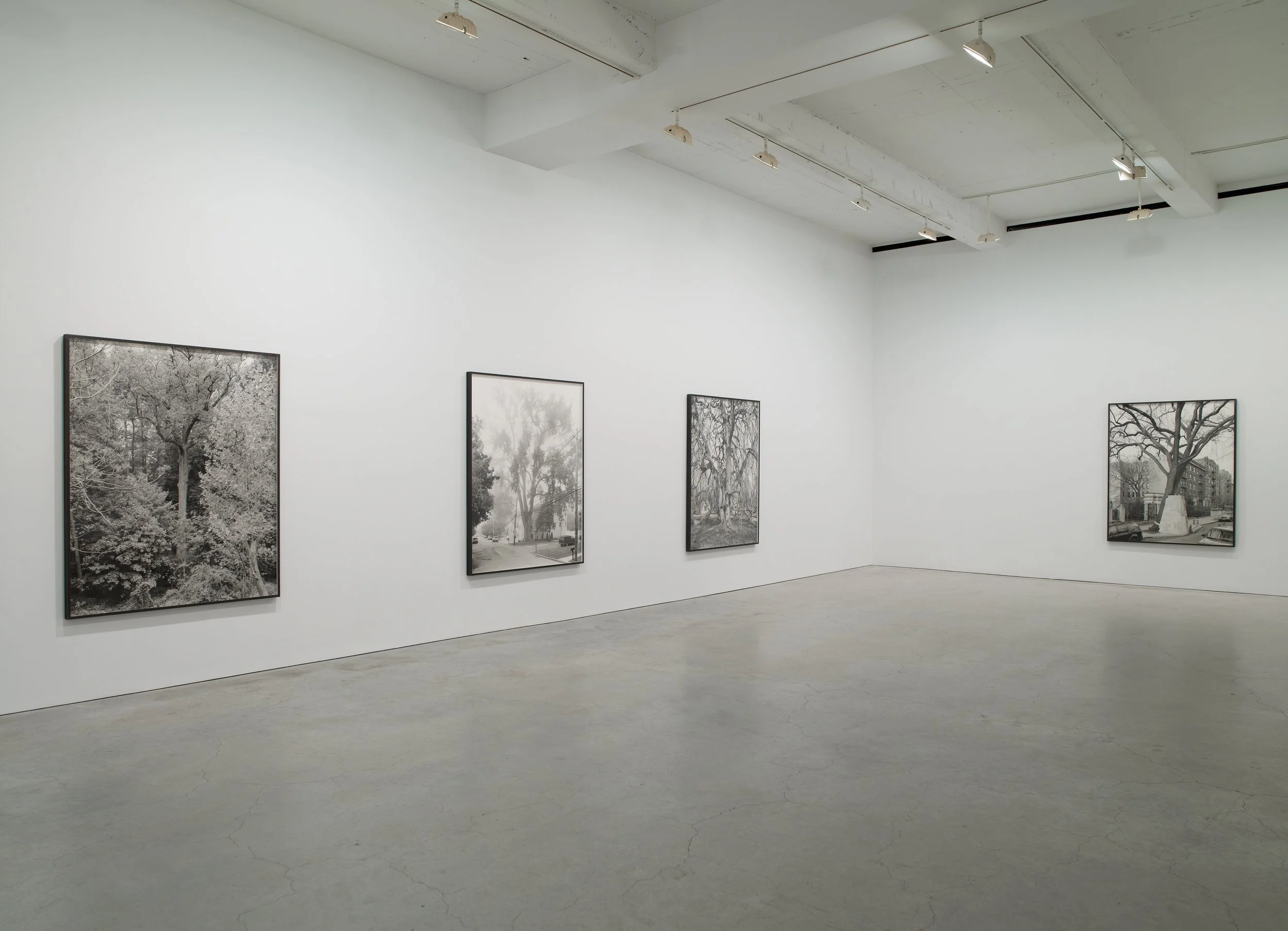 Epstein SJCo Inst view 3-2012 1.jpg