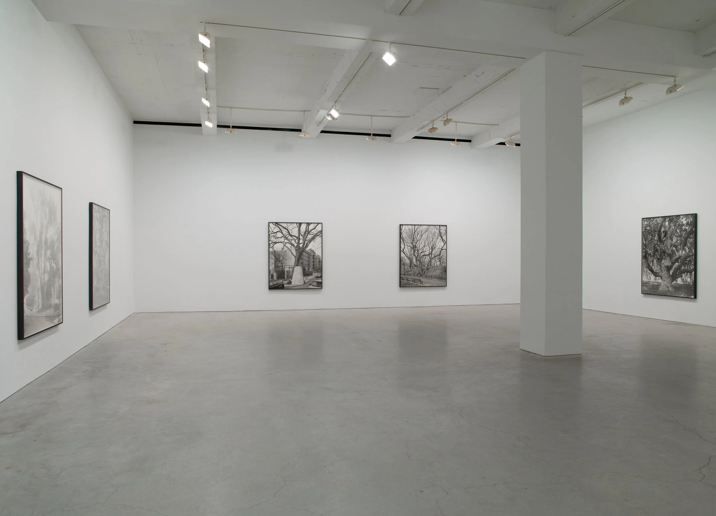 Epstein SJCo Inst view 3-2012 3.jpg