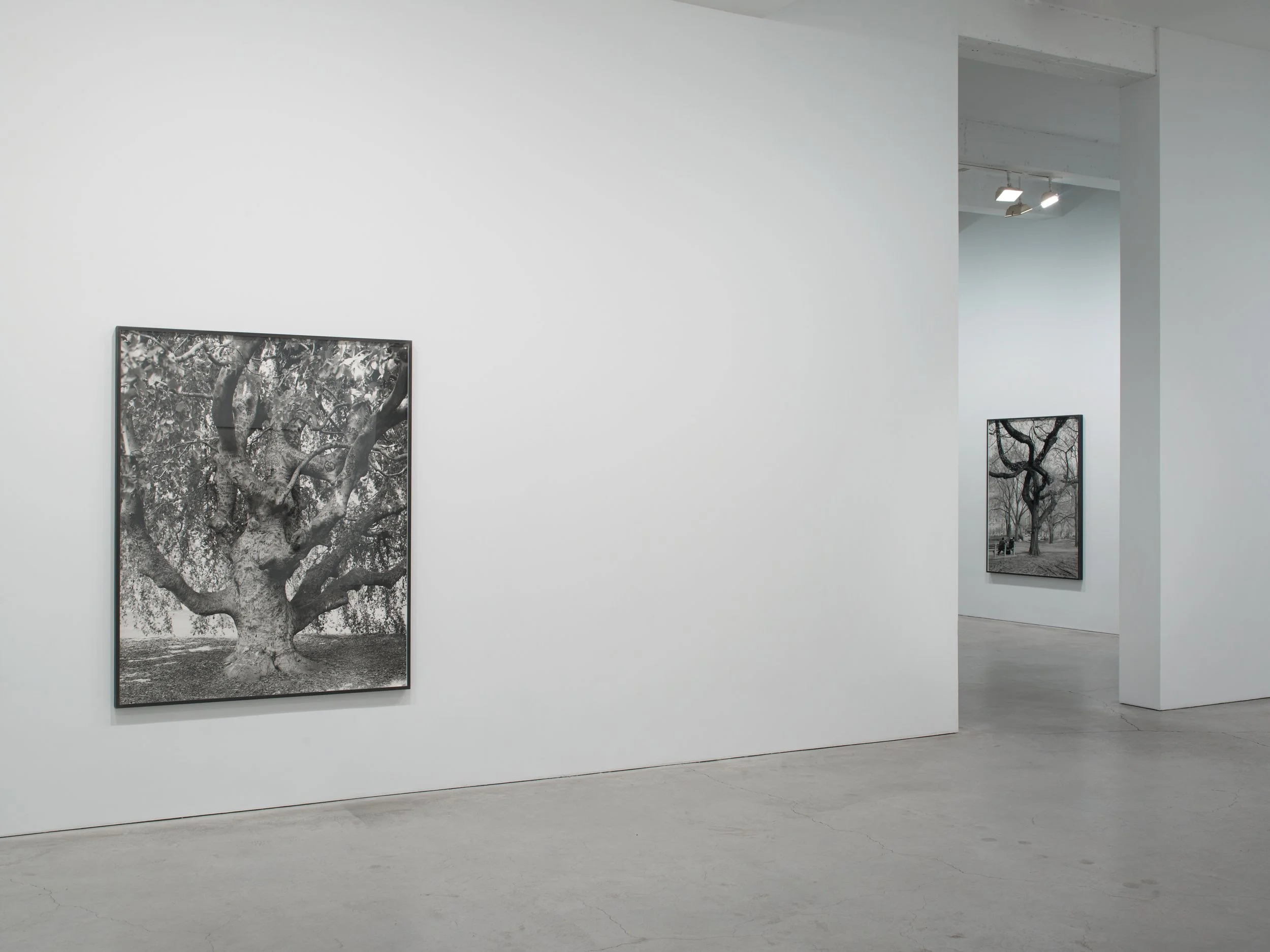 Epstein SJCo Inst view 3-2012 4.jpg