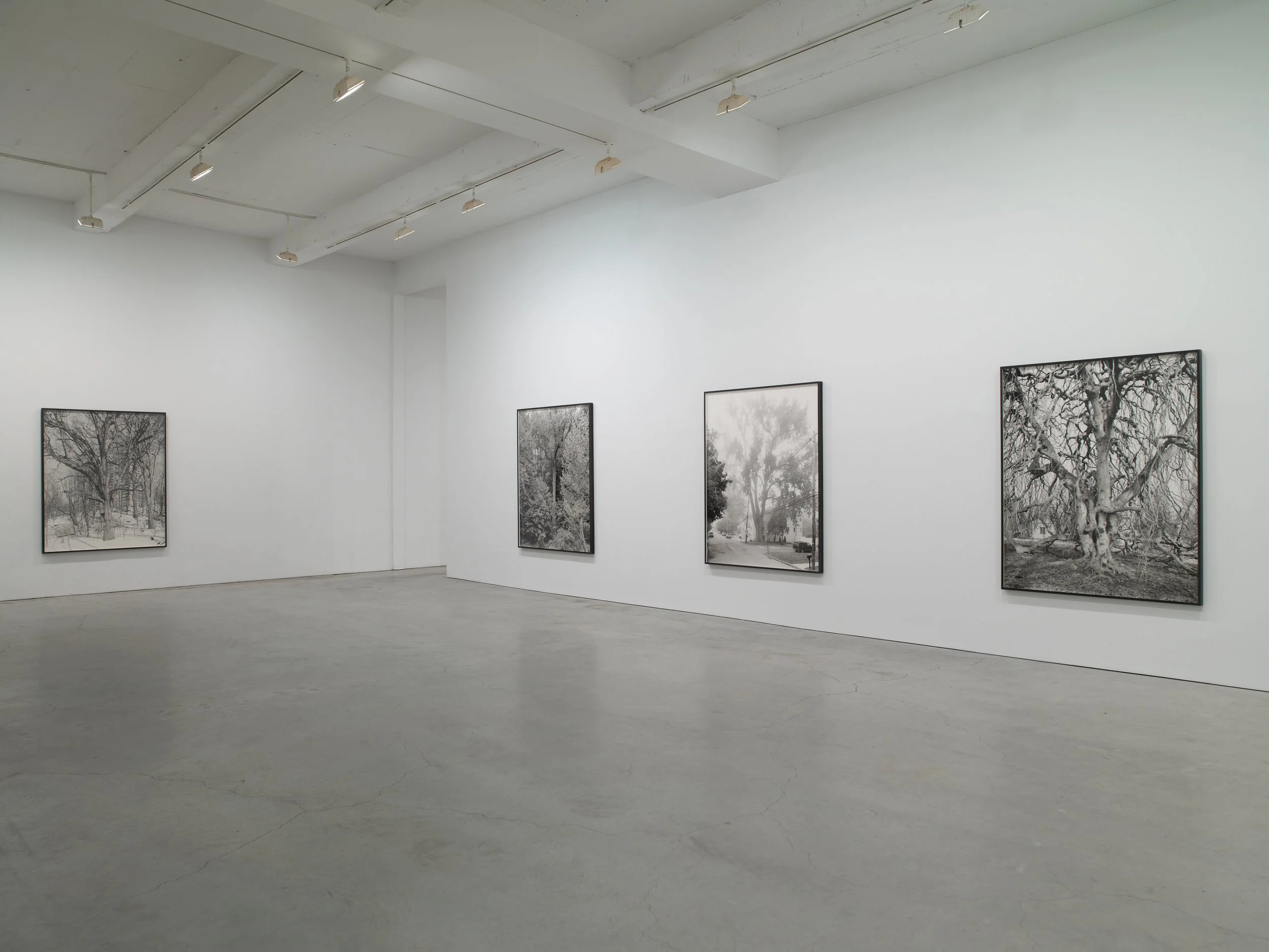 Epstein SJCo Inst view 3-2012 5.jpg