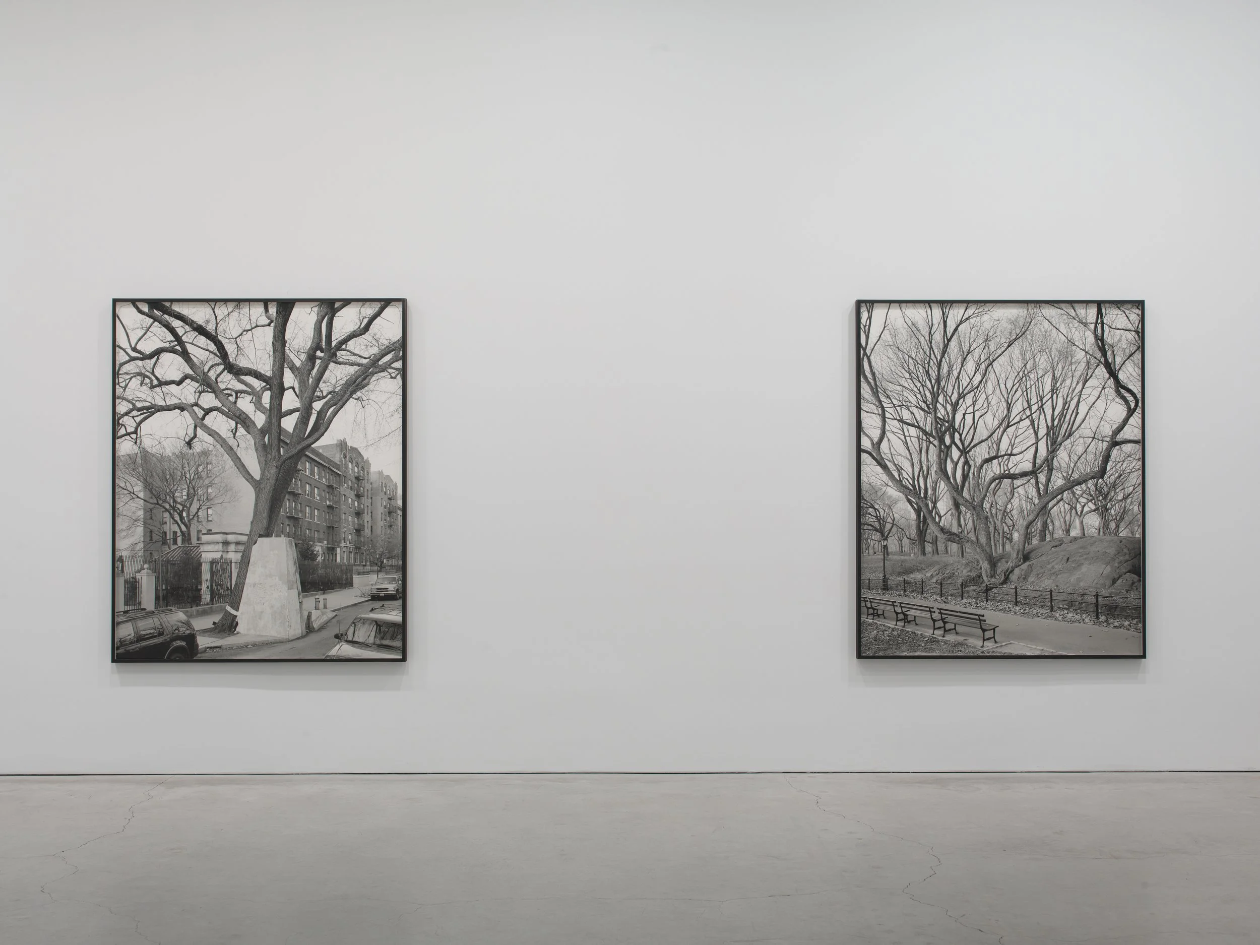 Epstein SJCo Inst view 3-2012 8.jpg