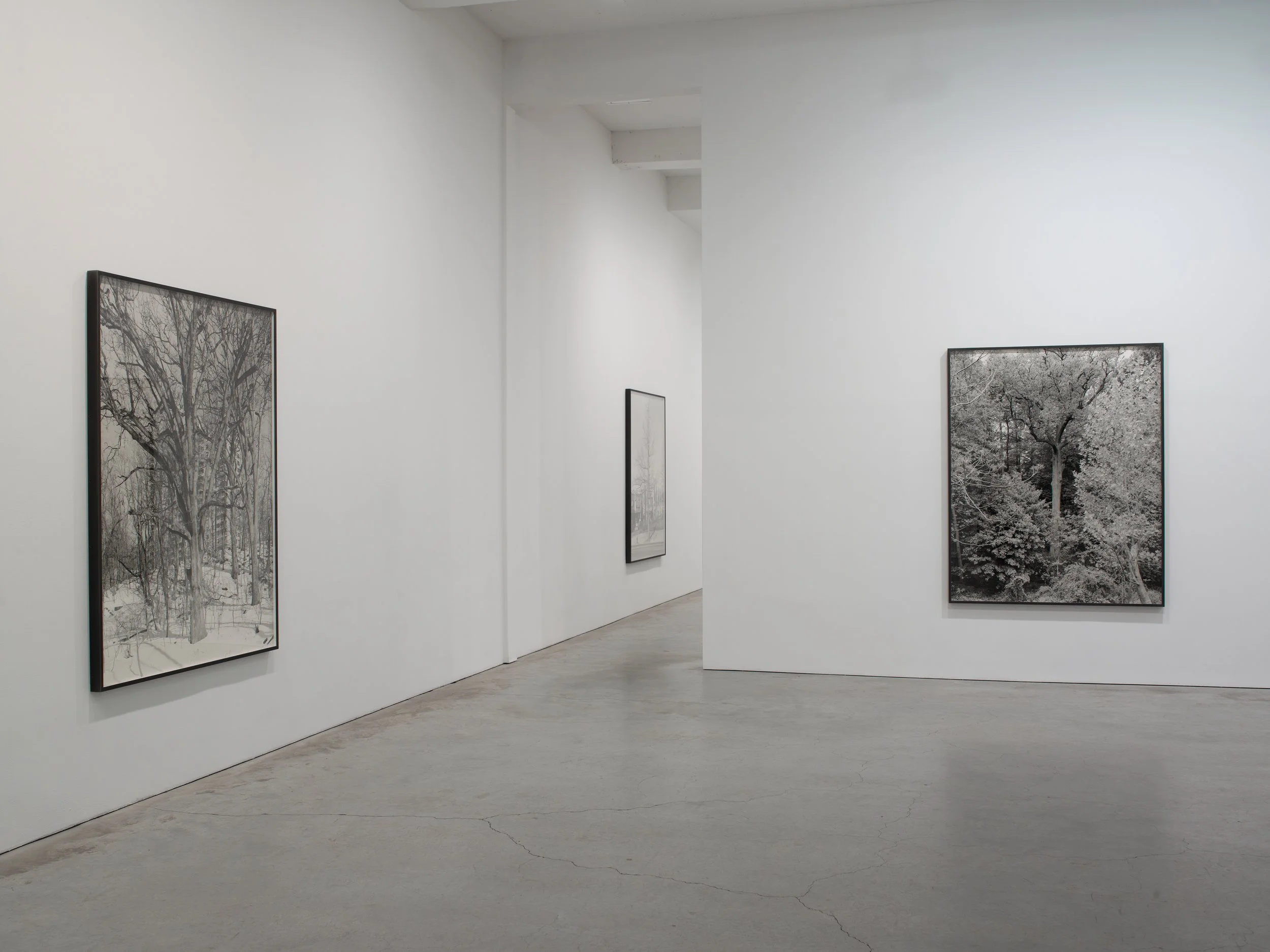 Epstein SJCo Inst view 3-2012 12.jpg