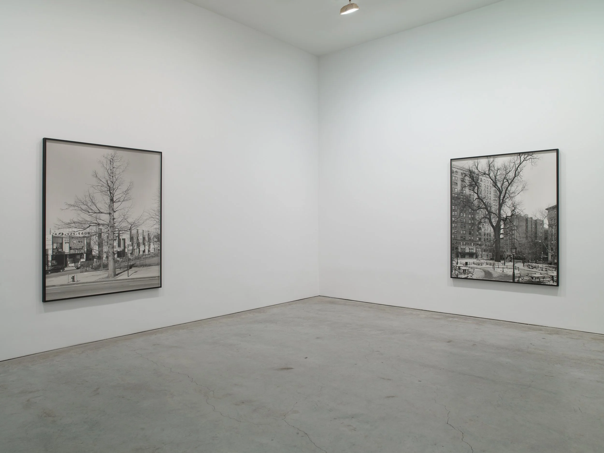 Epstein SJCo Inst view 3-2012 13.jpg