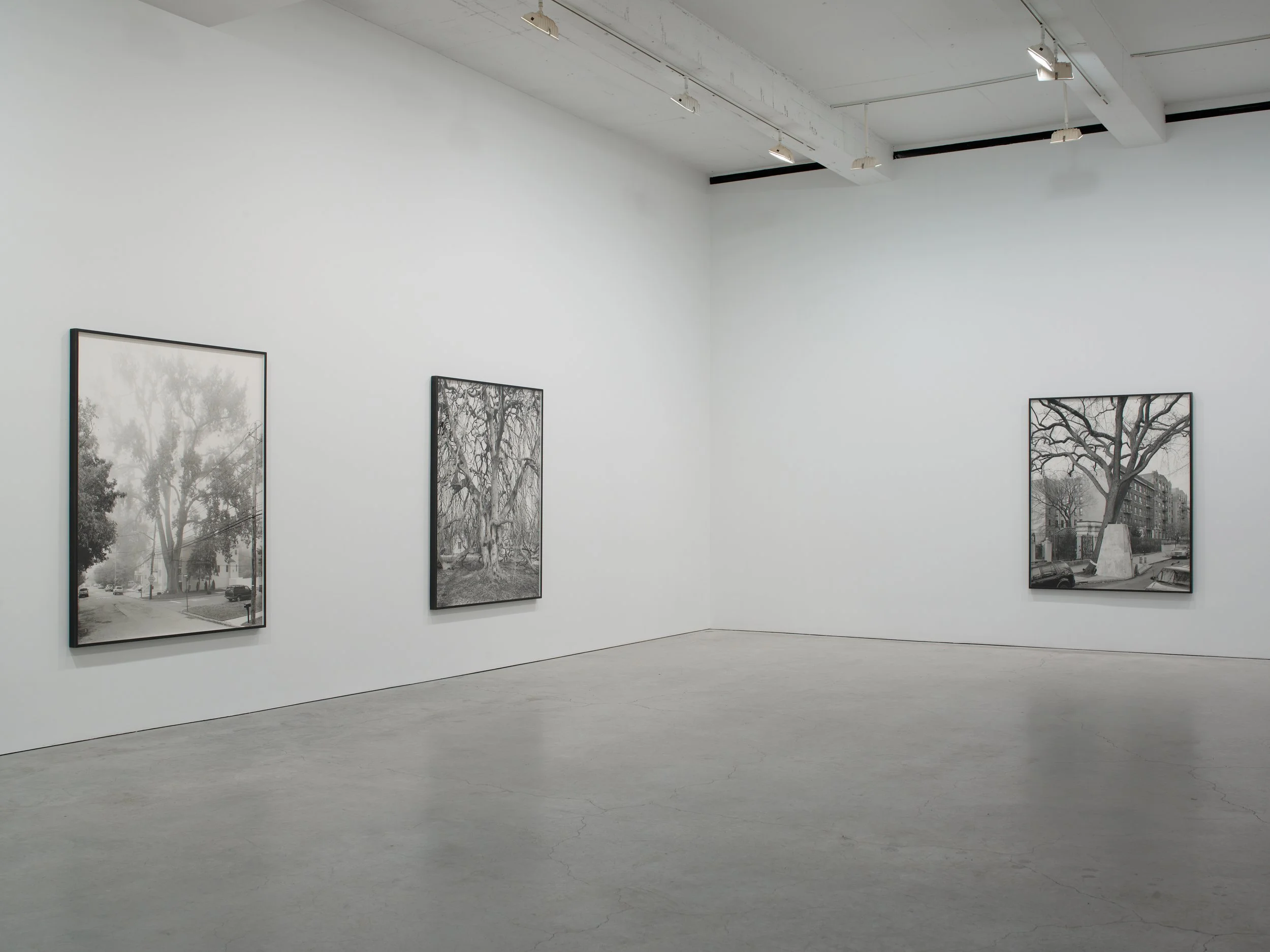 Epstein SJCo Inst view 3-2012 7.jpg