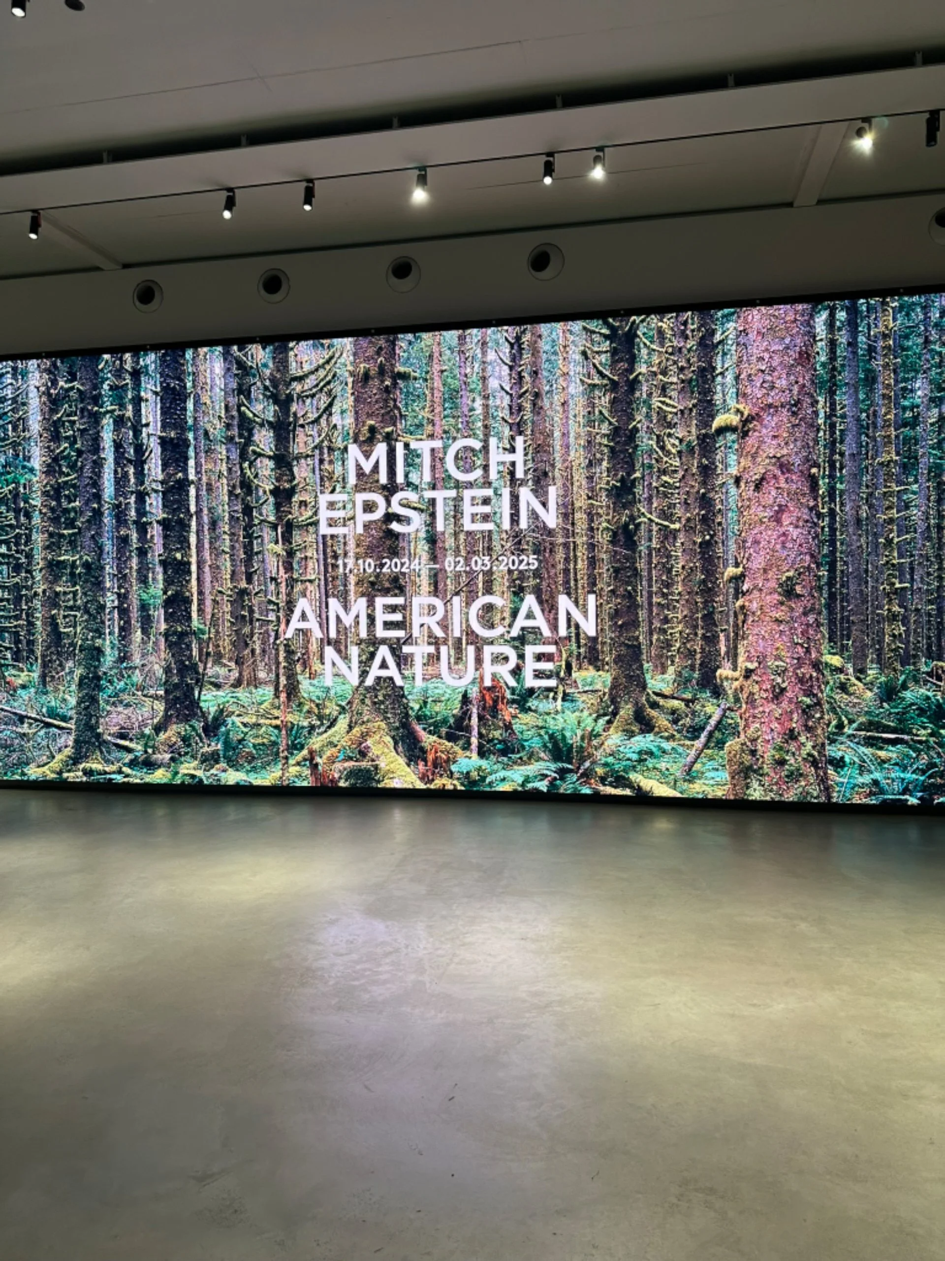 American Nature, Gallerie d’Italia museum in Torino, Italy, 2024-2025