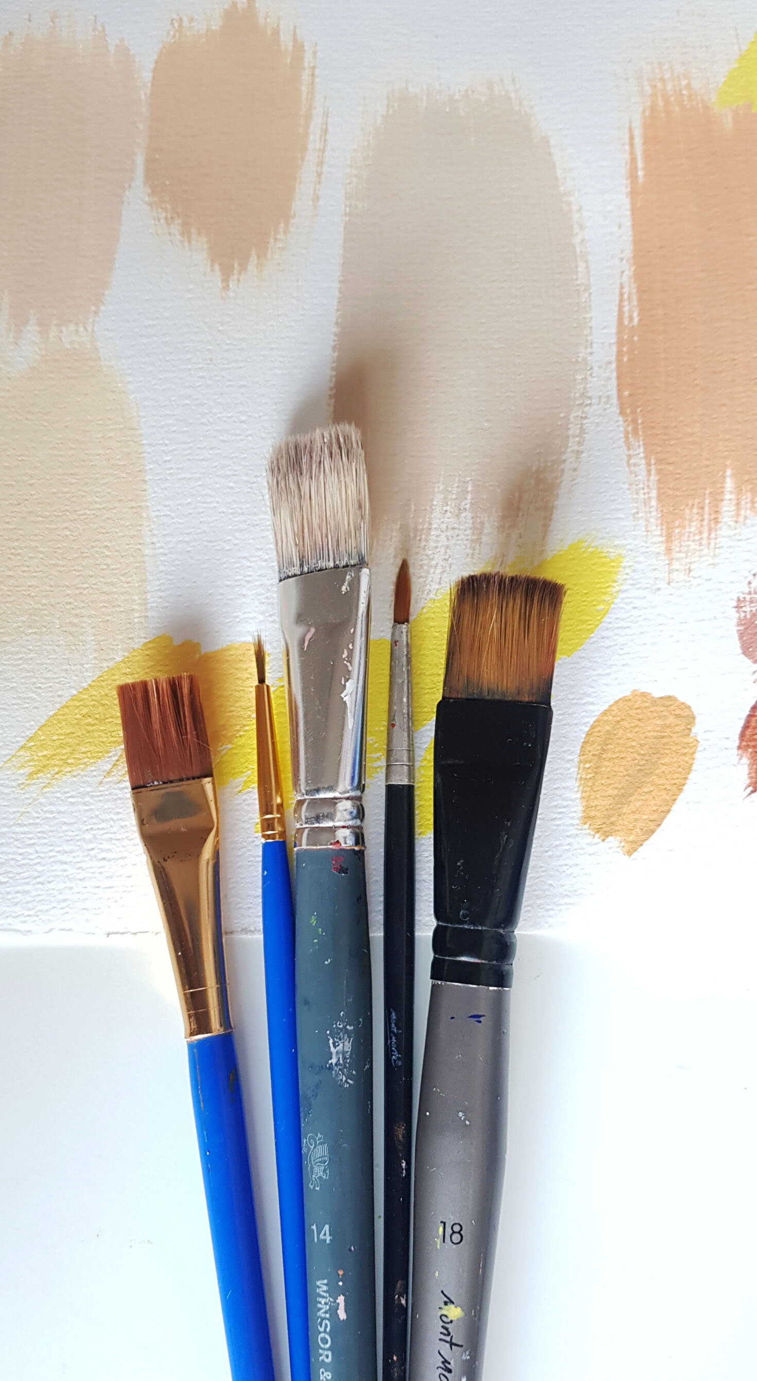 brushes on paint swatch background vertical.jpg