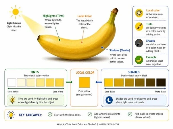 Diagram showing local color, tints, and shades used to create highlights and shadows in marker art