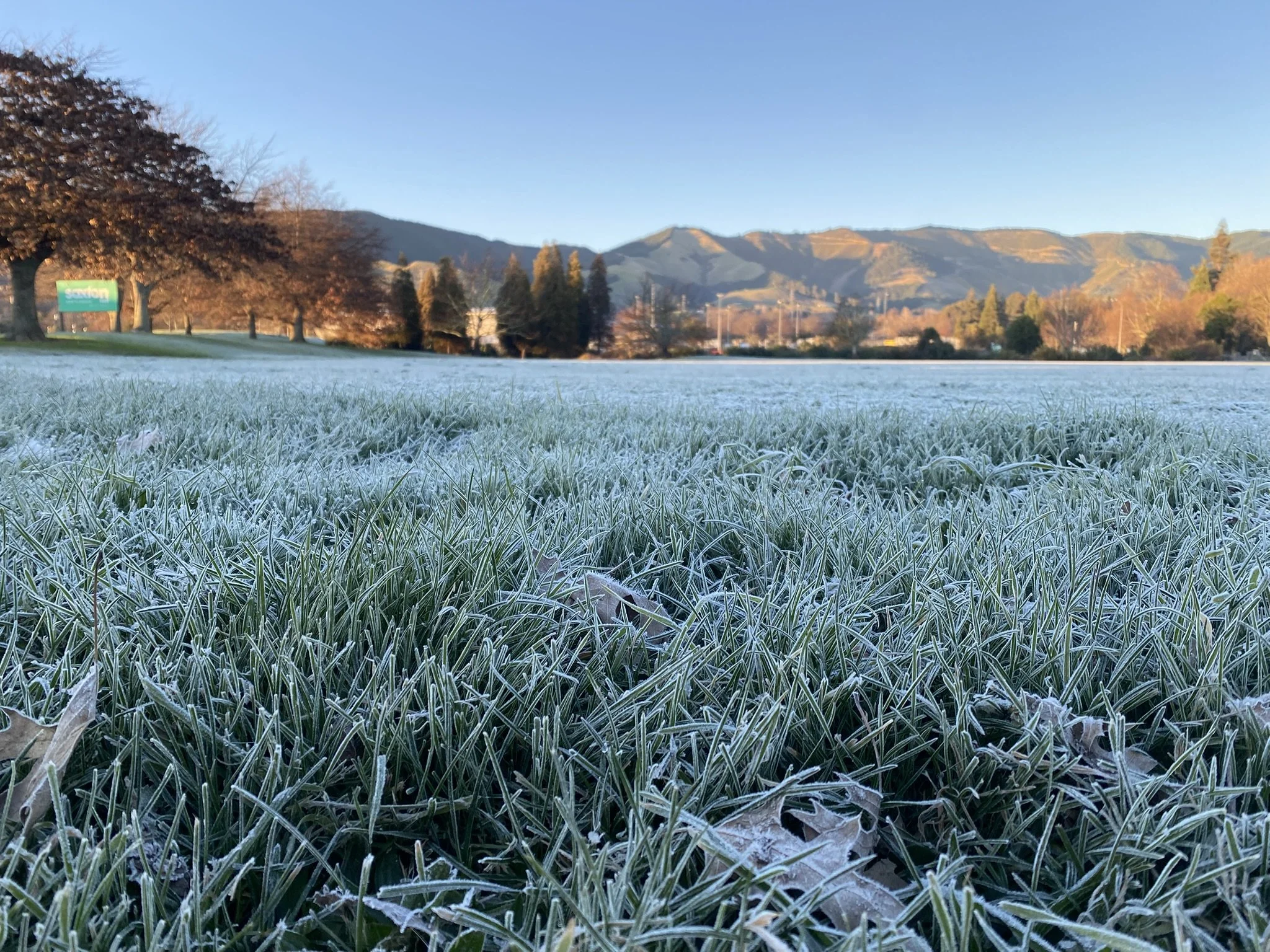 Frost-kissed blades in morning light, 
Saxton Field glows soft and white.
