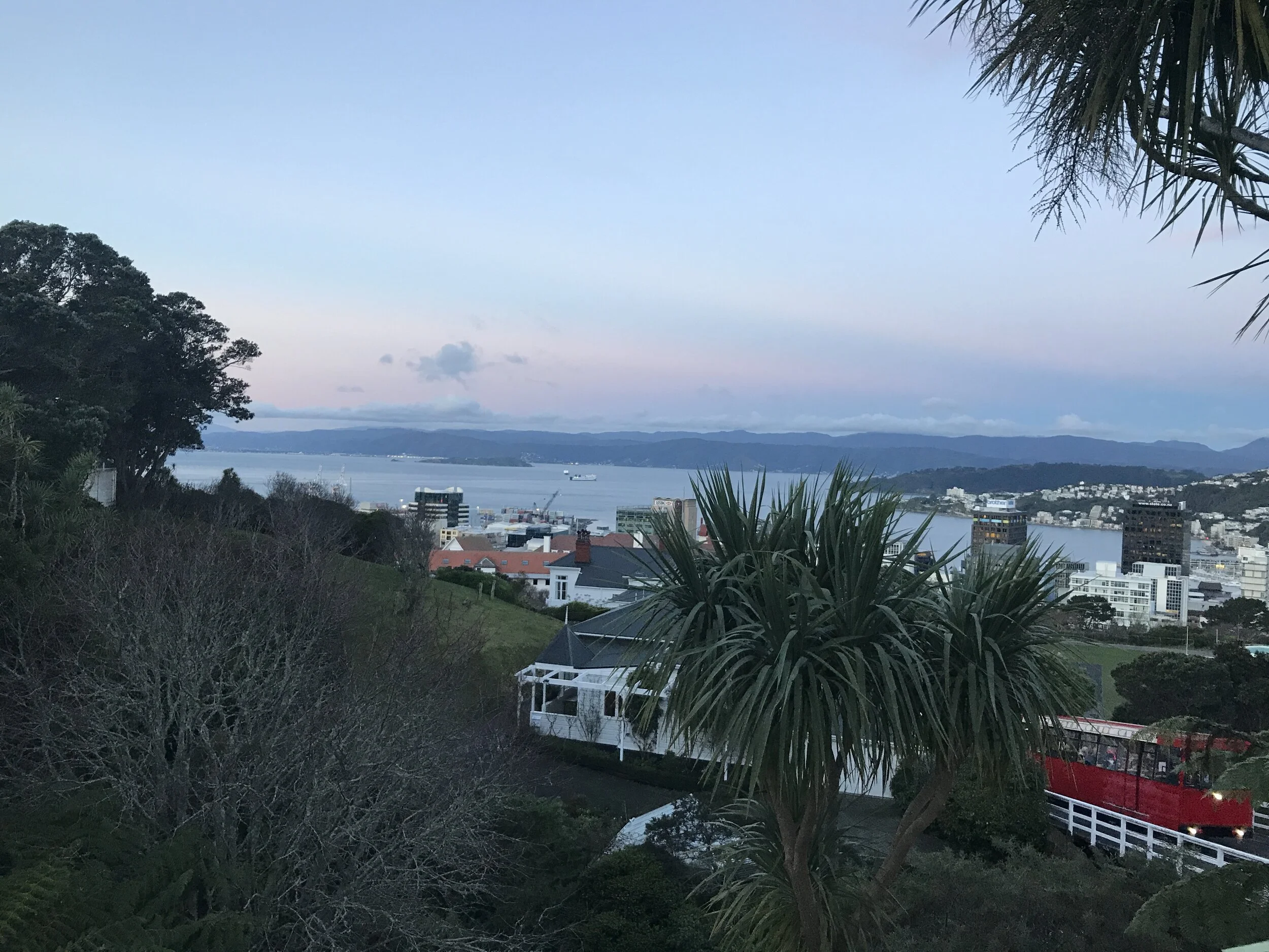 View of a city with a river, boats, and mountains in the distance, taken from a hillside with trees and houses in the foreground during dusk or early evening.