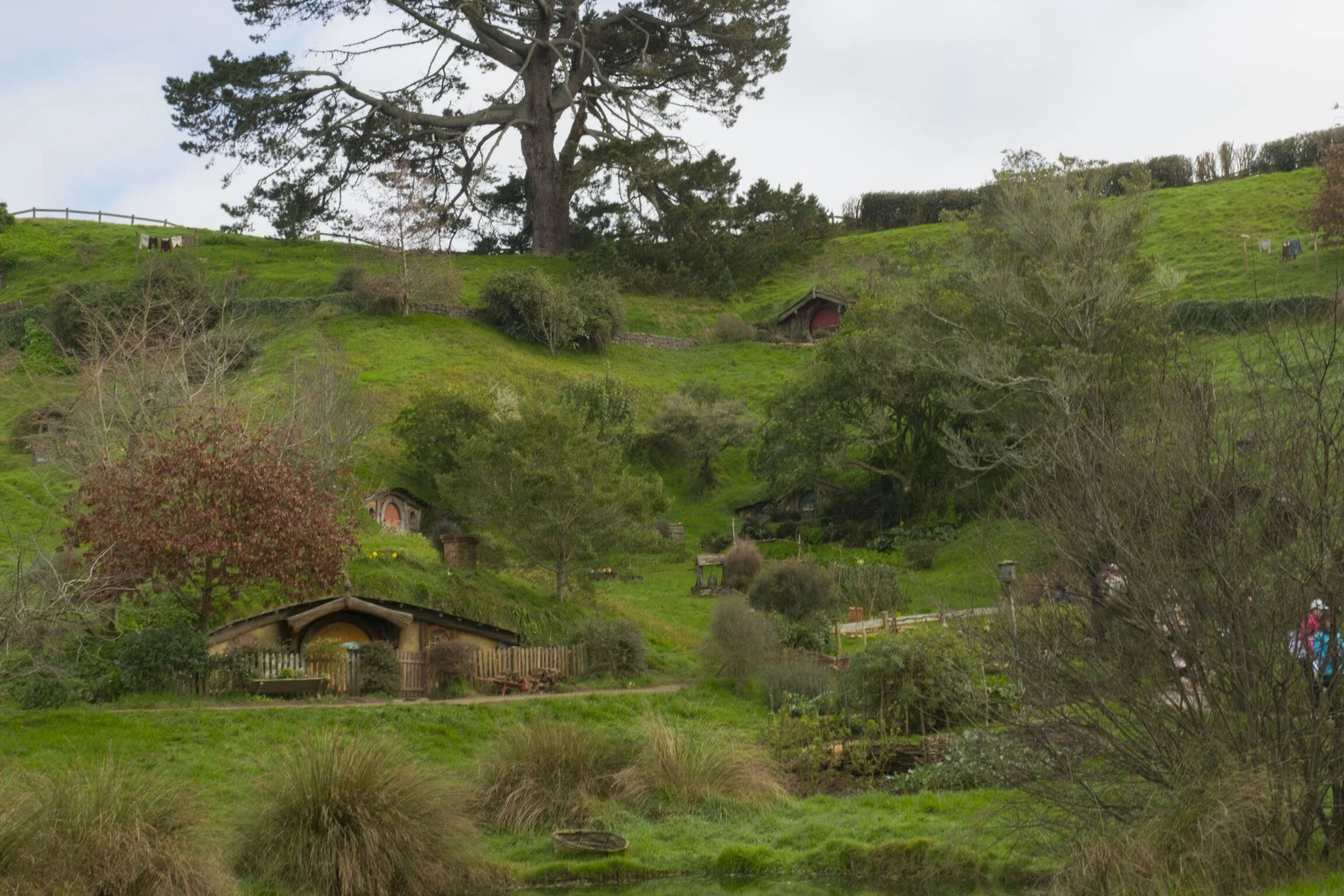 A lush green hillside with trees and small houses, with outside laundry hanging to dry on the left side of the hill.
