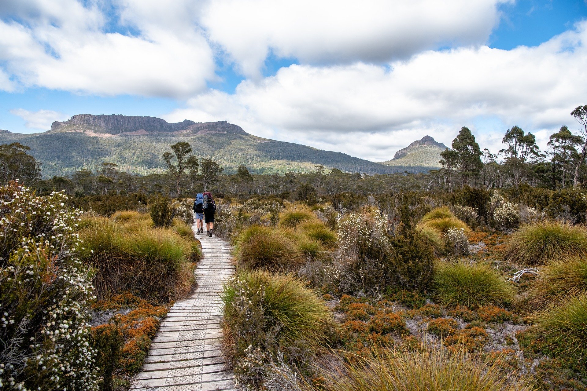 Overland Track