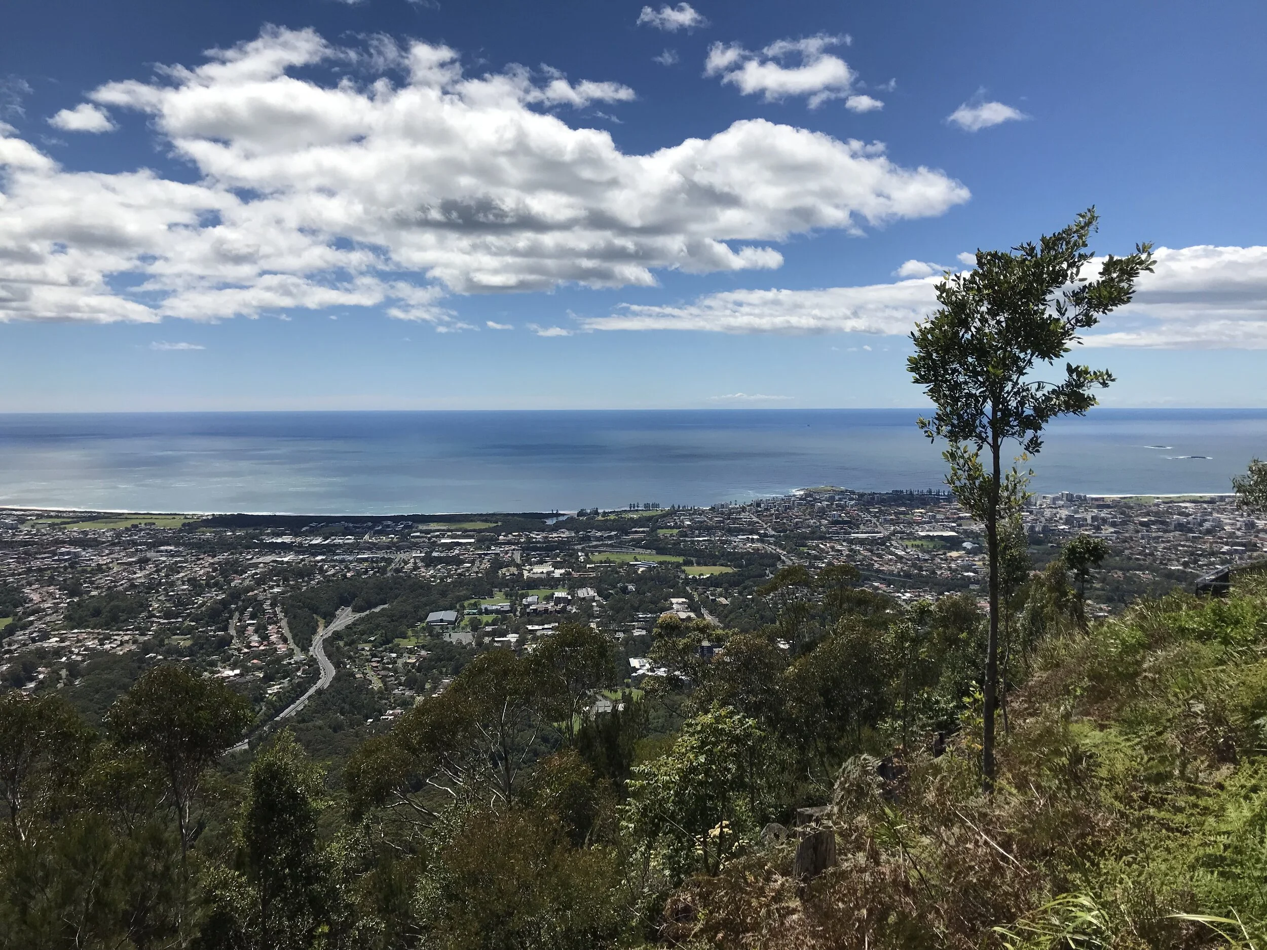 Look out over Wollongong 