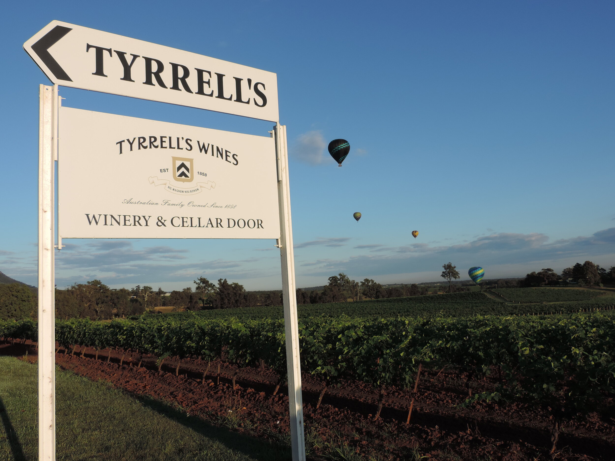 Tyrrells Wines, The Hunter