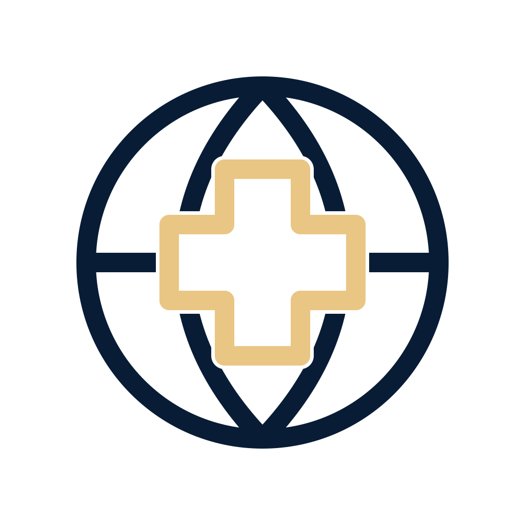 Icon of a globe with a medical cross in the center, representing global healthcare or medical services.