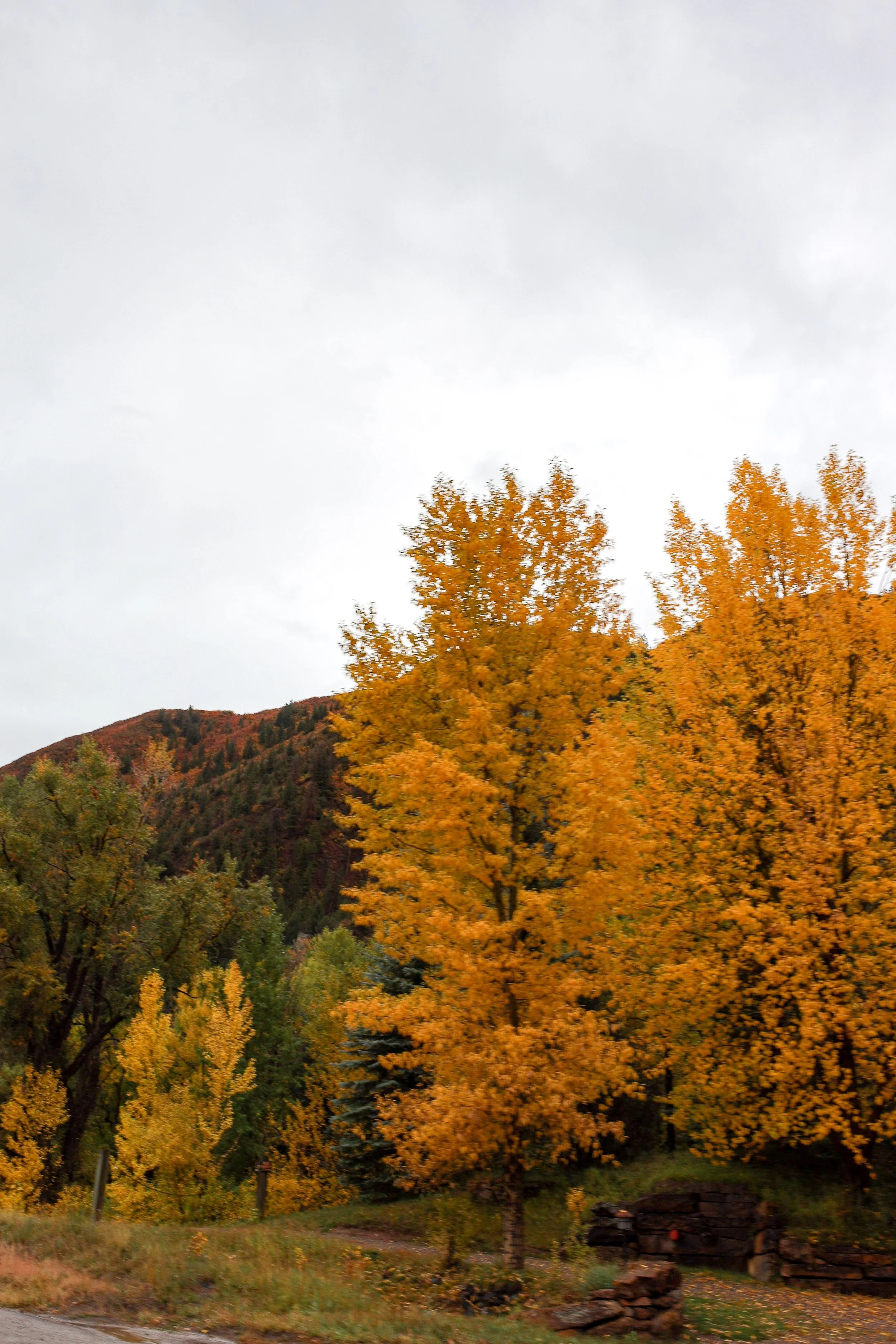 3 Places in California to Visit in the Fall