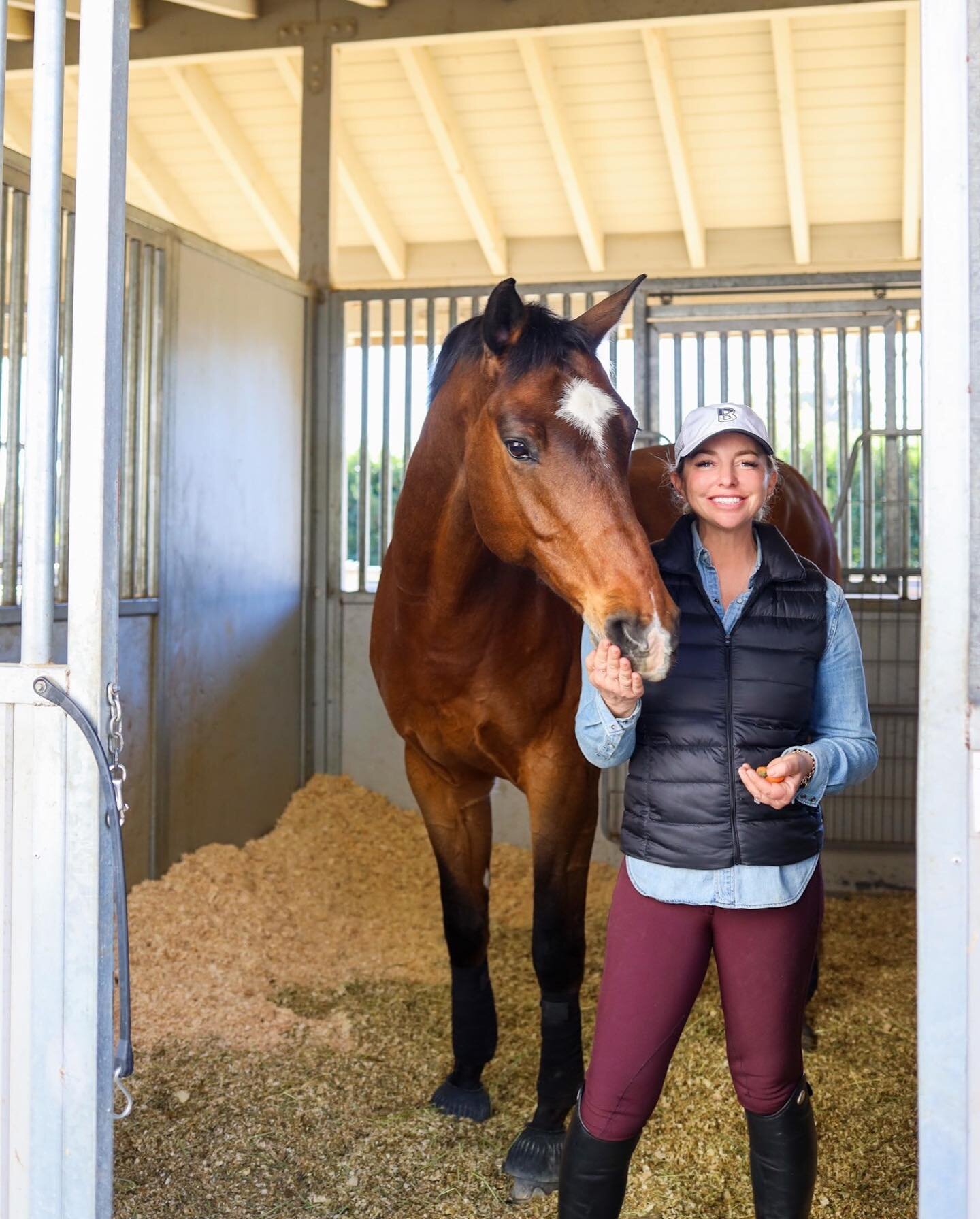 When the going gets tough&hellip;.go for a ride! 🤠 (or just hug your horse) 

In all seriousness, I am so incredibly grateful for the beautiful relationship I have with Croquet and my amazing community. 

Can&rsquo;t wait for my boy BB to get here a