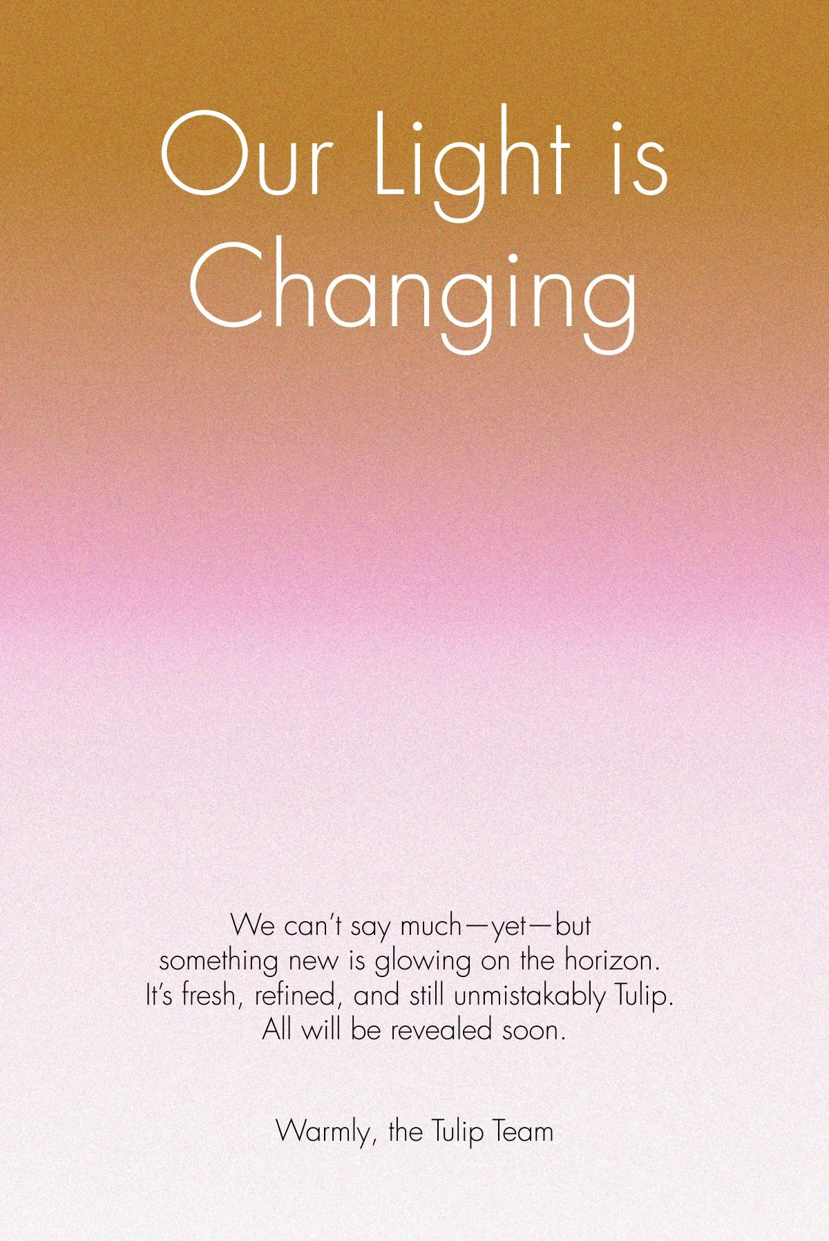 Tulip_2025_Email teaser.jpg