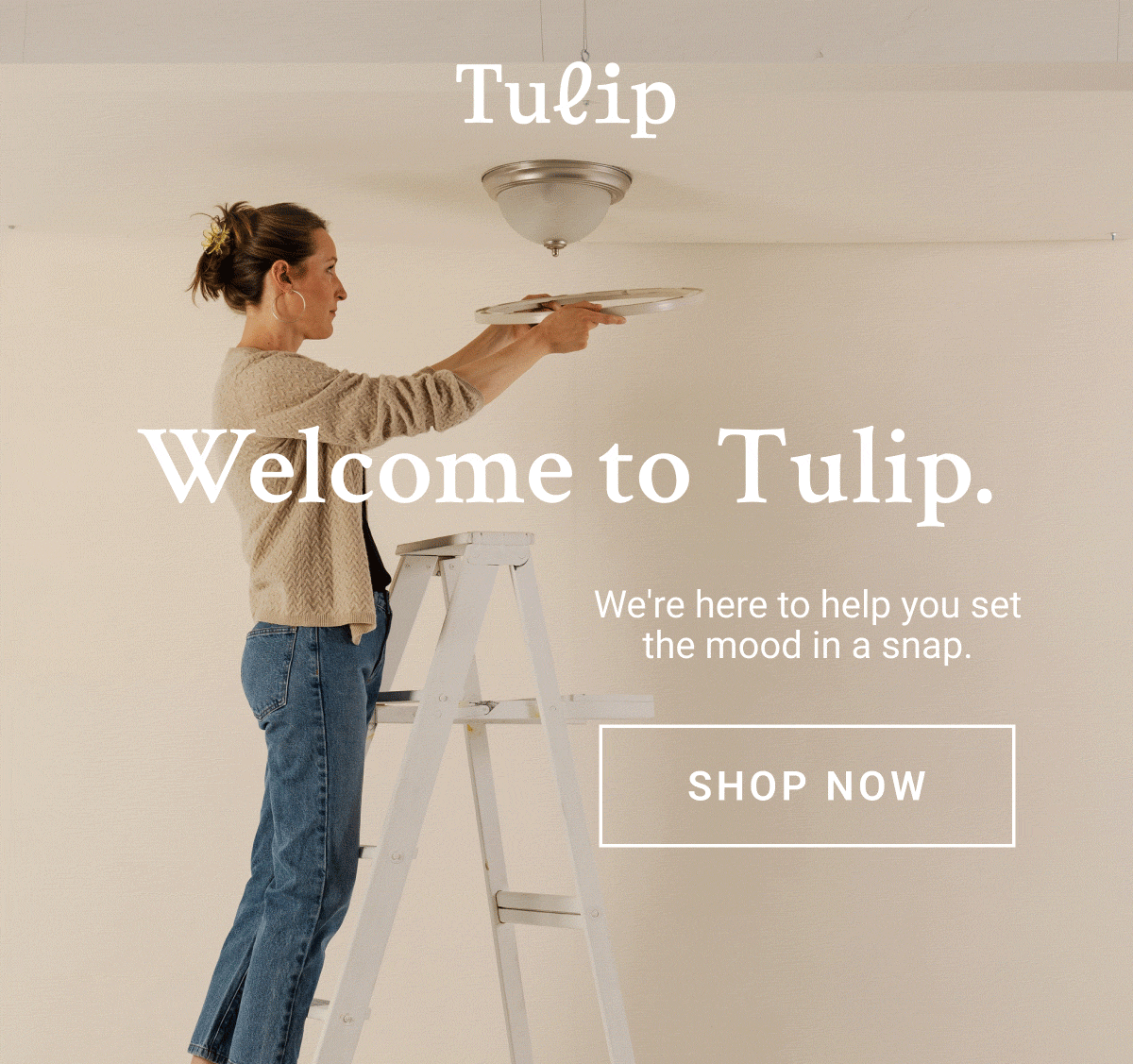 Tulip_Welcome01_gif0.gif