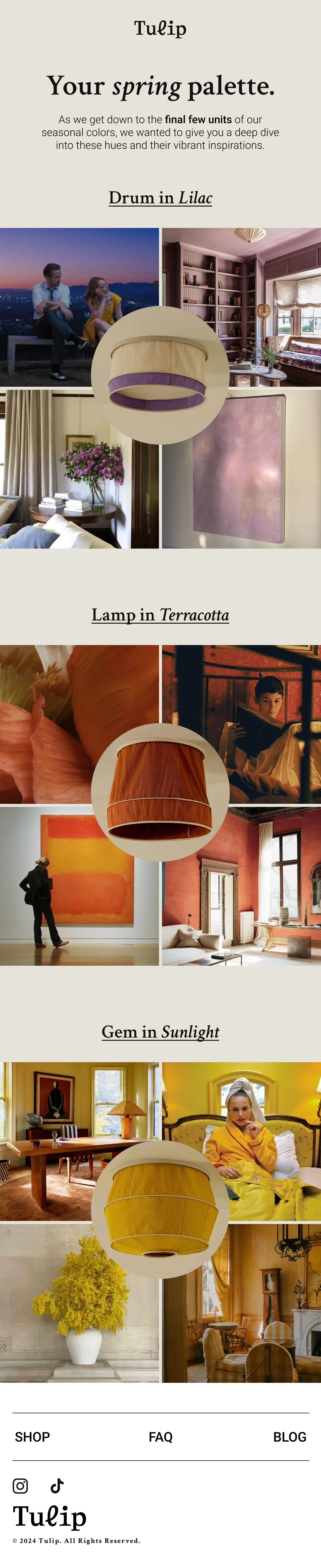 Tulip_Spring Moodboard.jpg