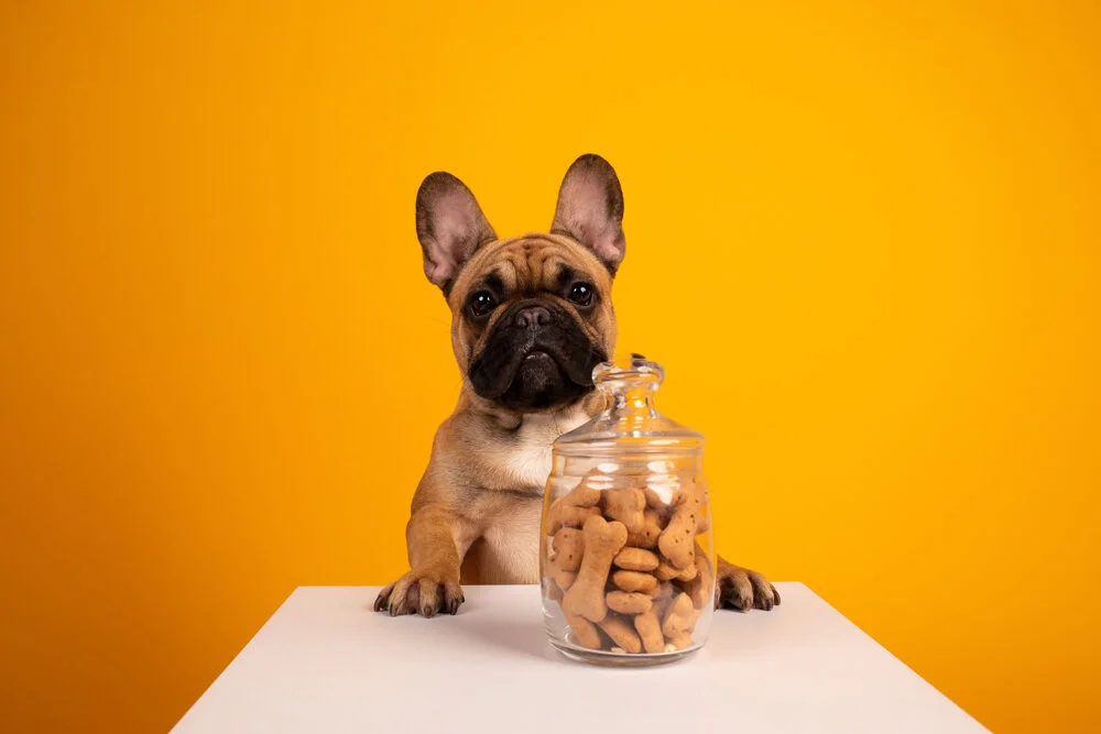 LOS MUNCHIES PA’L PERRO