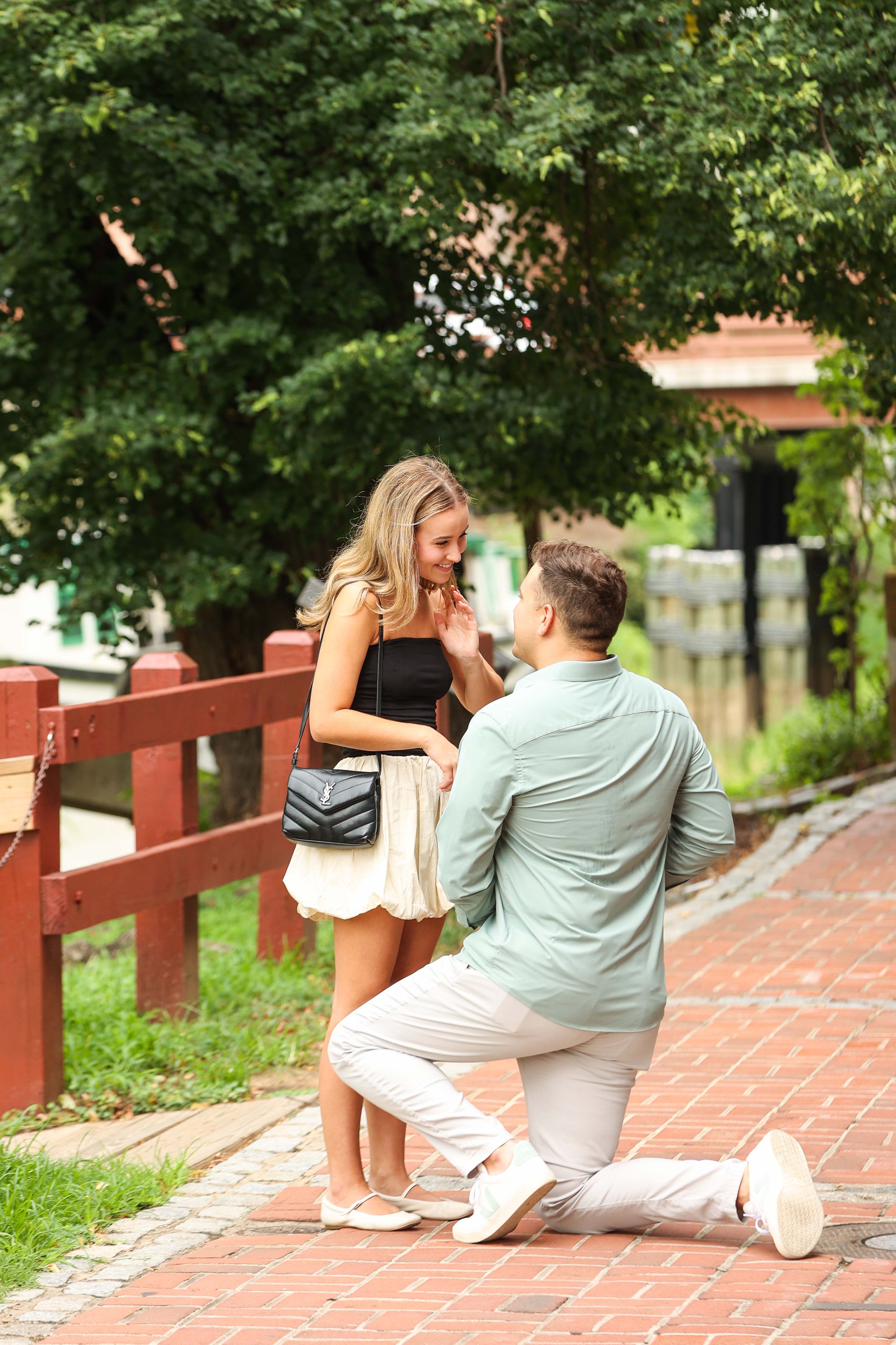 DC Georgetown Canal Surprise Proposal
