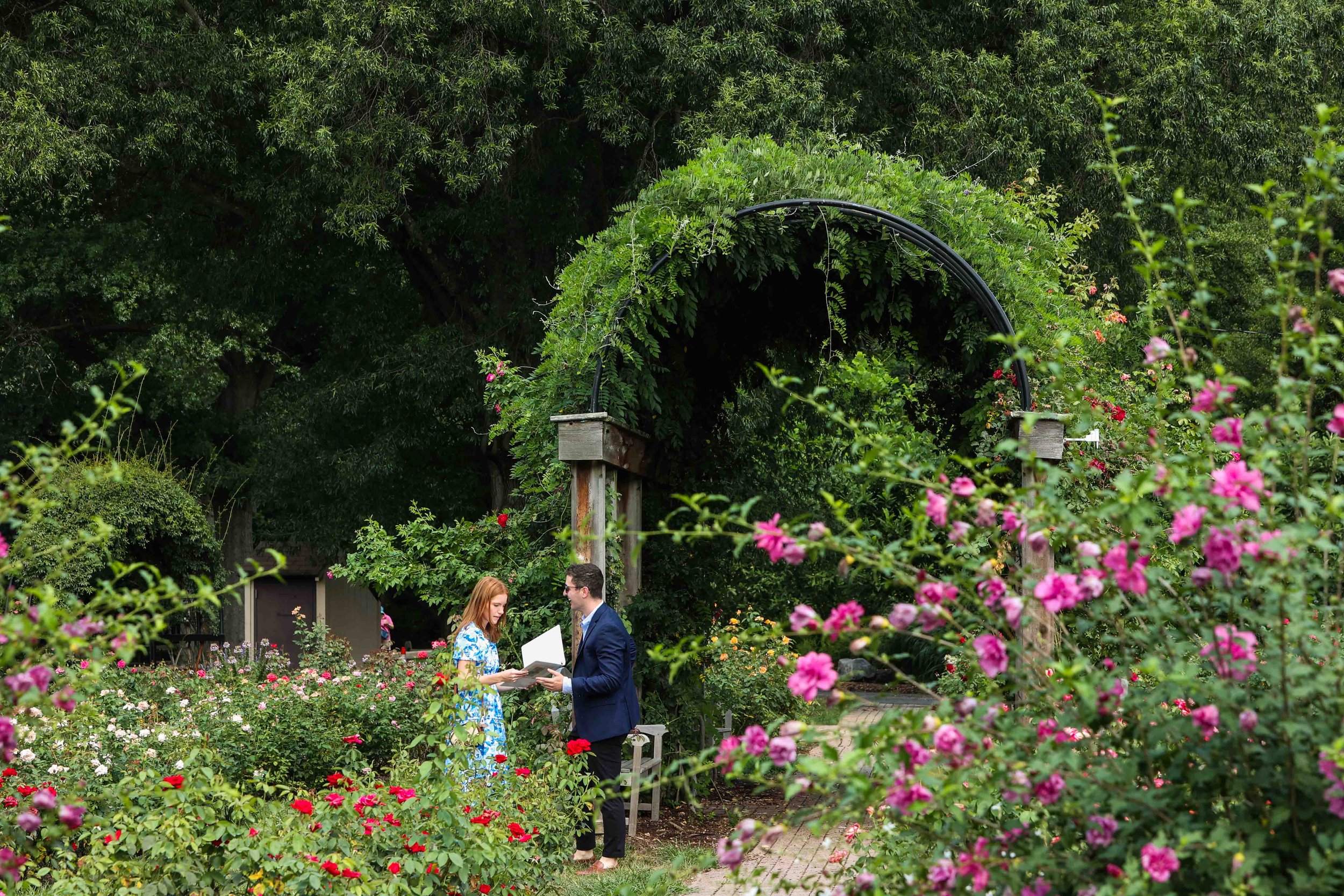 Arlington, Virginia Rose Garden Surprise Proposal