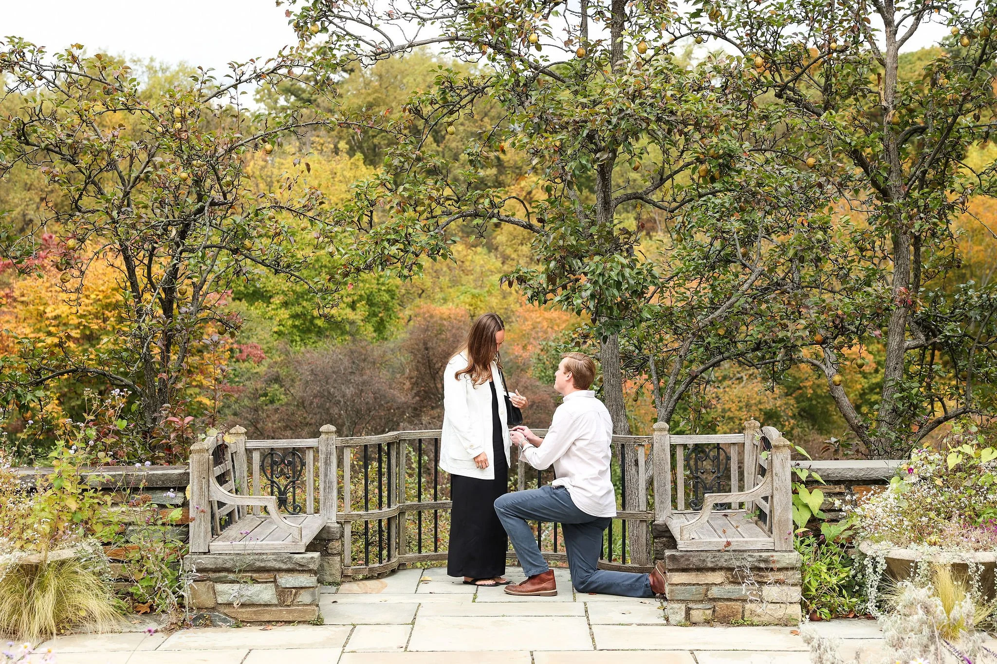 Washington DC Proposal Photographer