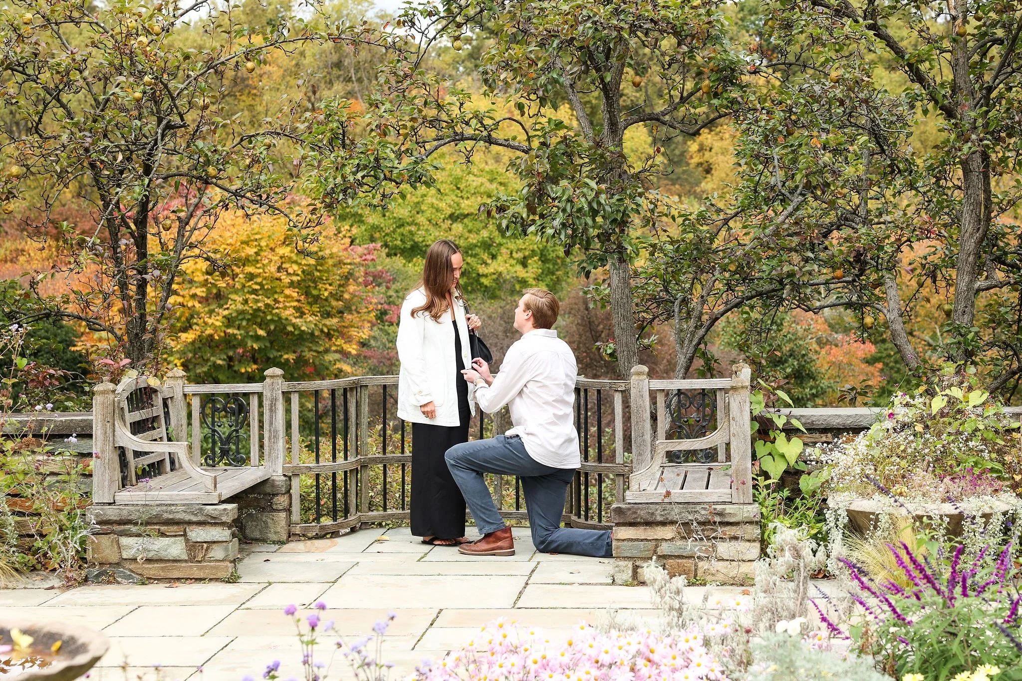 Washington DC Proposal Photographer