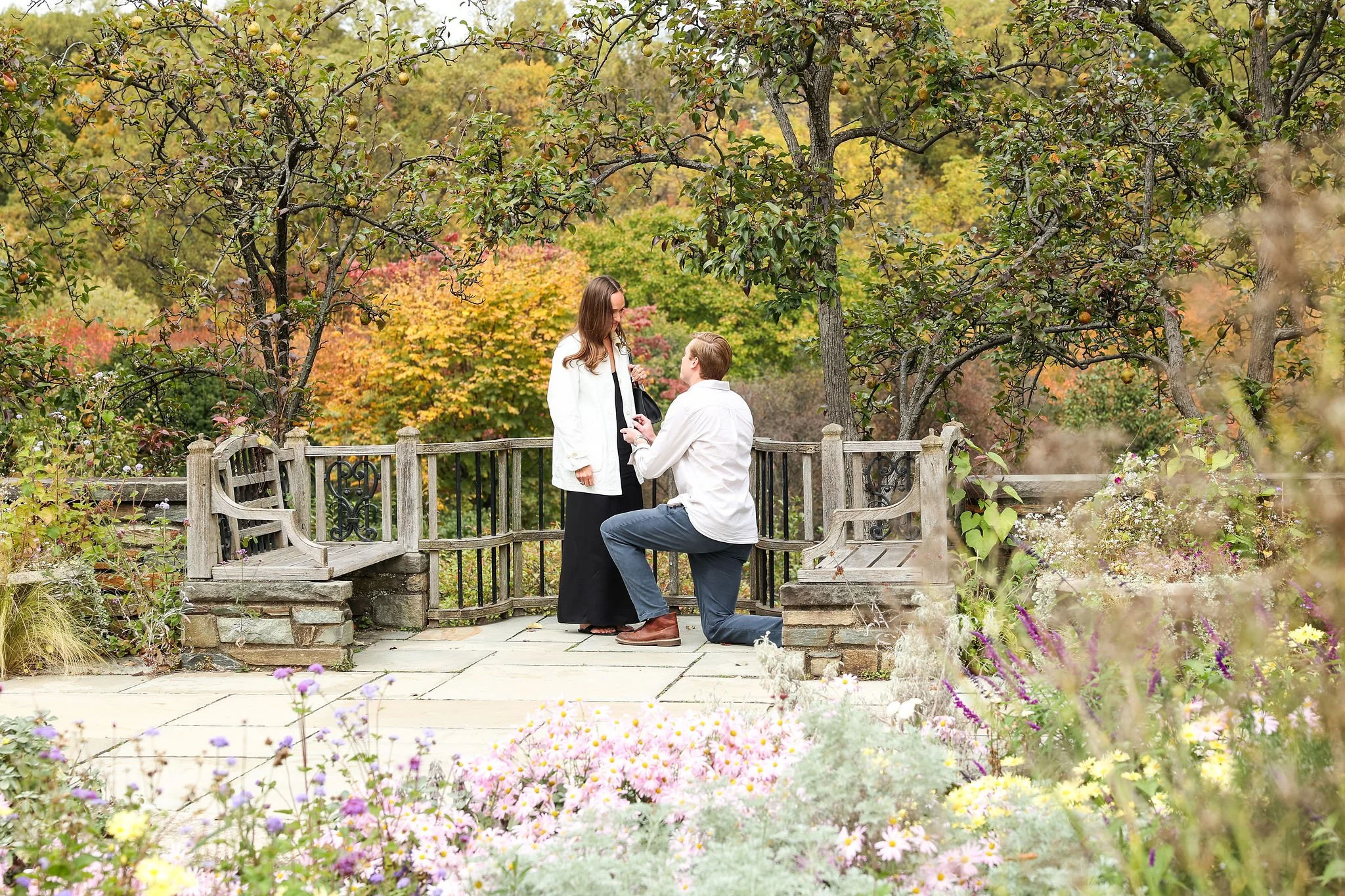 Washington DC Proposal Photographer