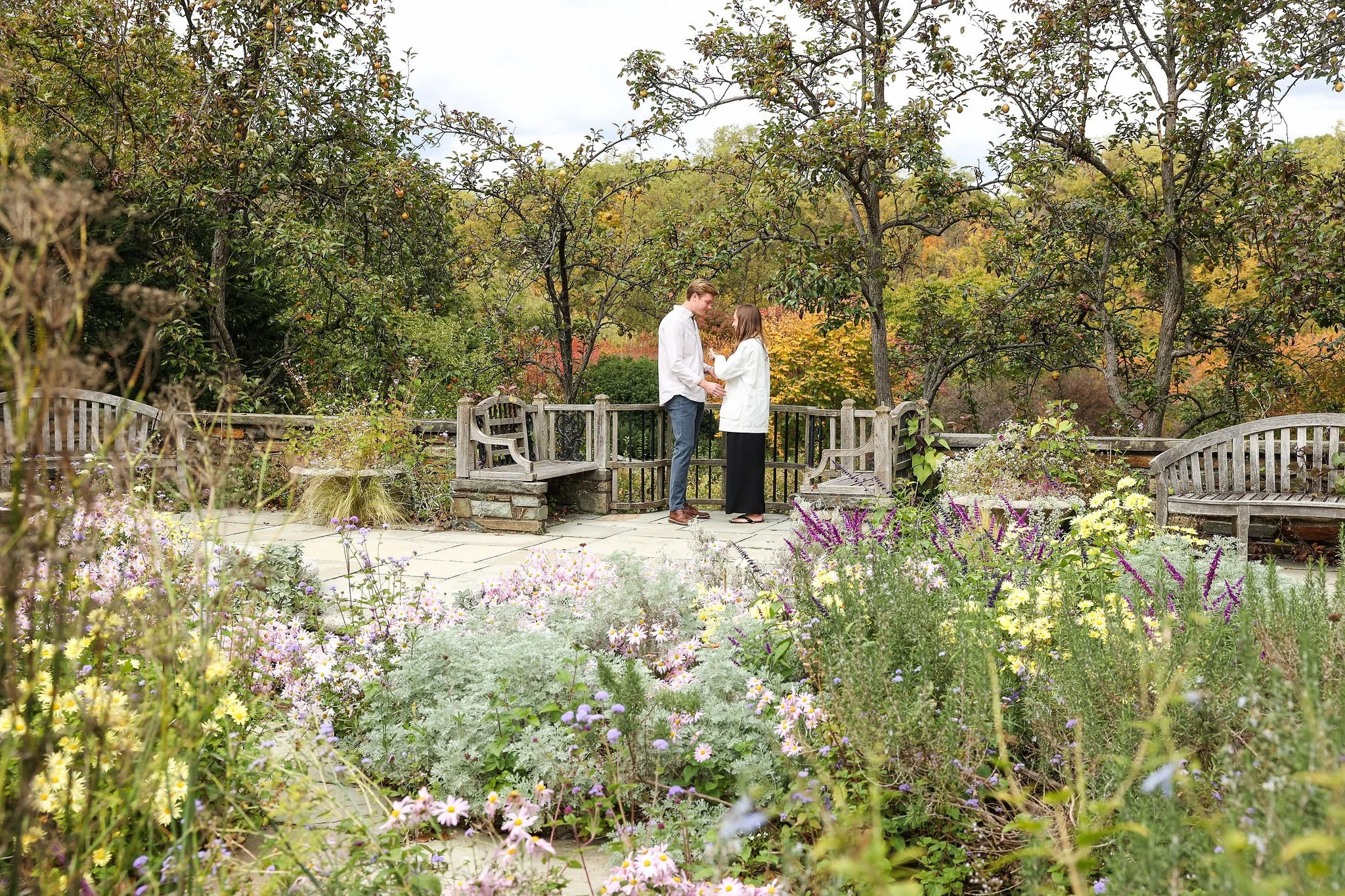 Georgetown DC Proposal Photographer