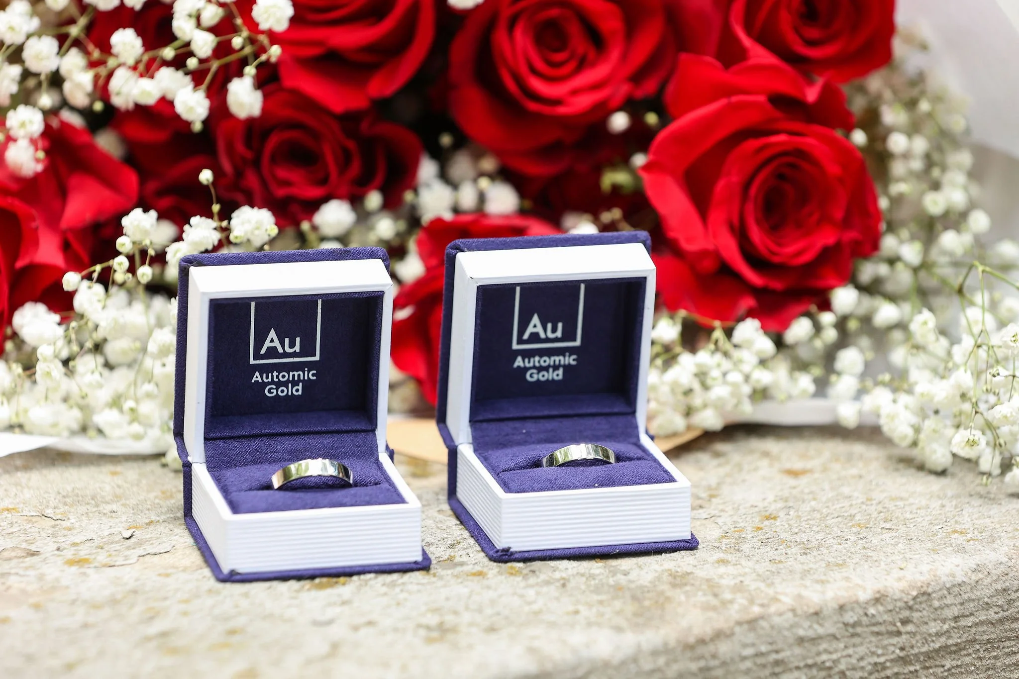 DC Spanish Steps Surprise Proposal