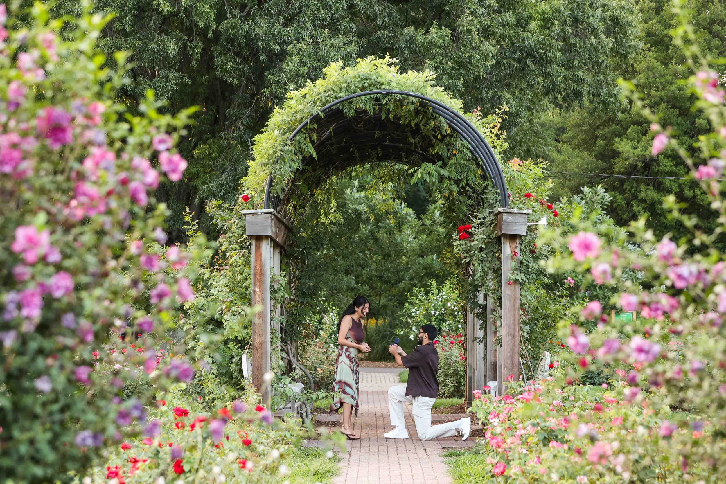 DC Surprise Proposal Photographer