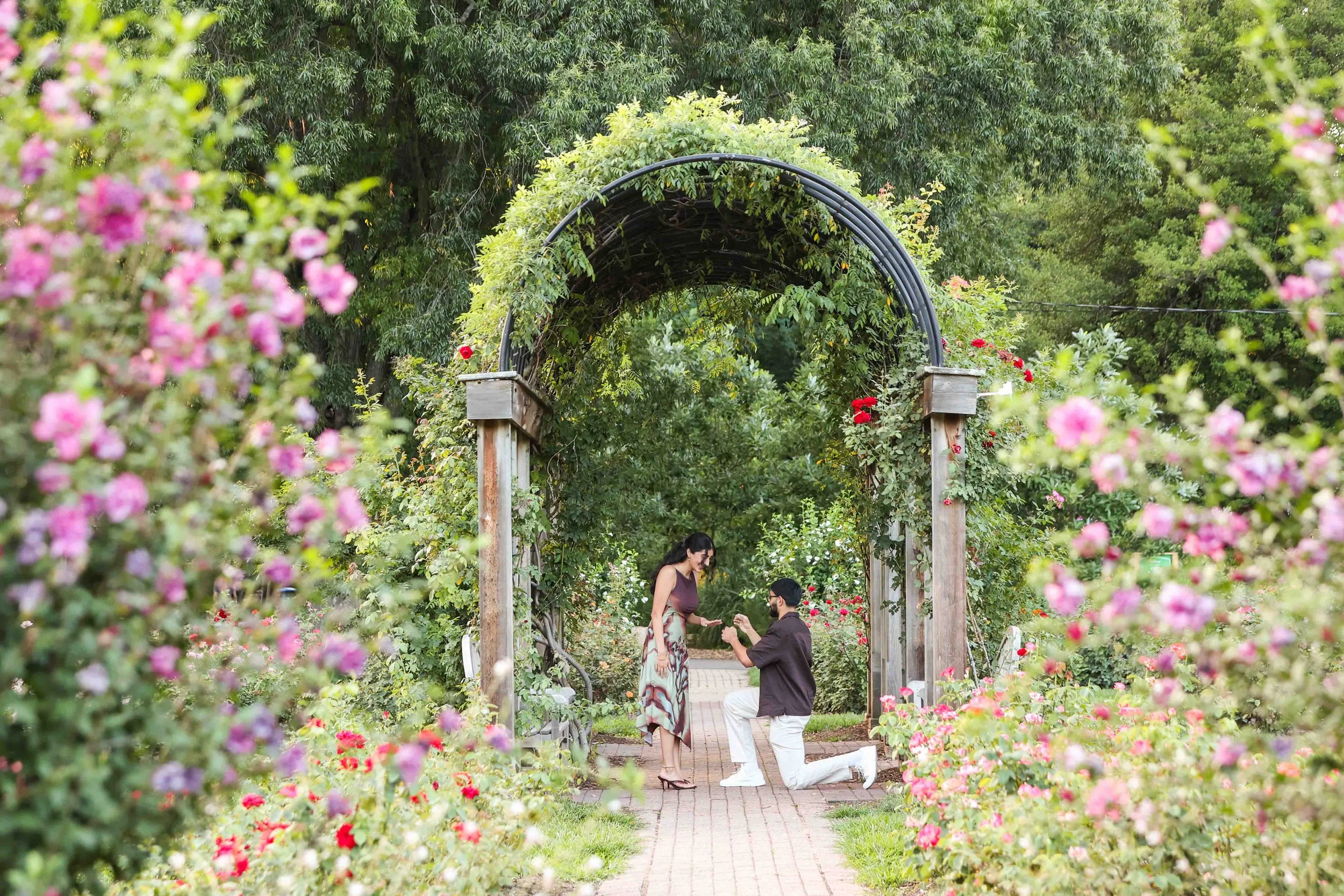 Bon Air Rose Garden Surprise Proposal
