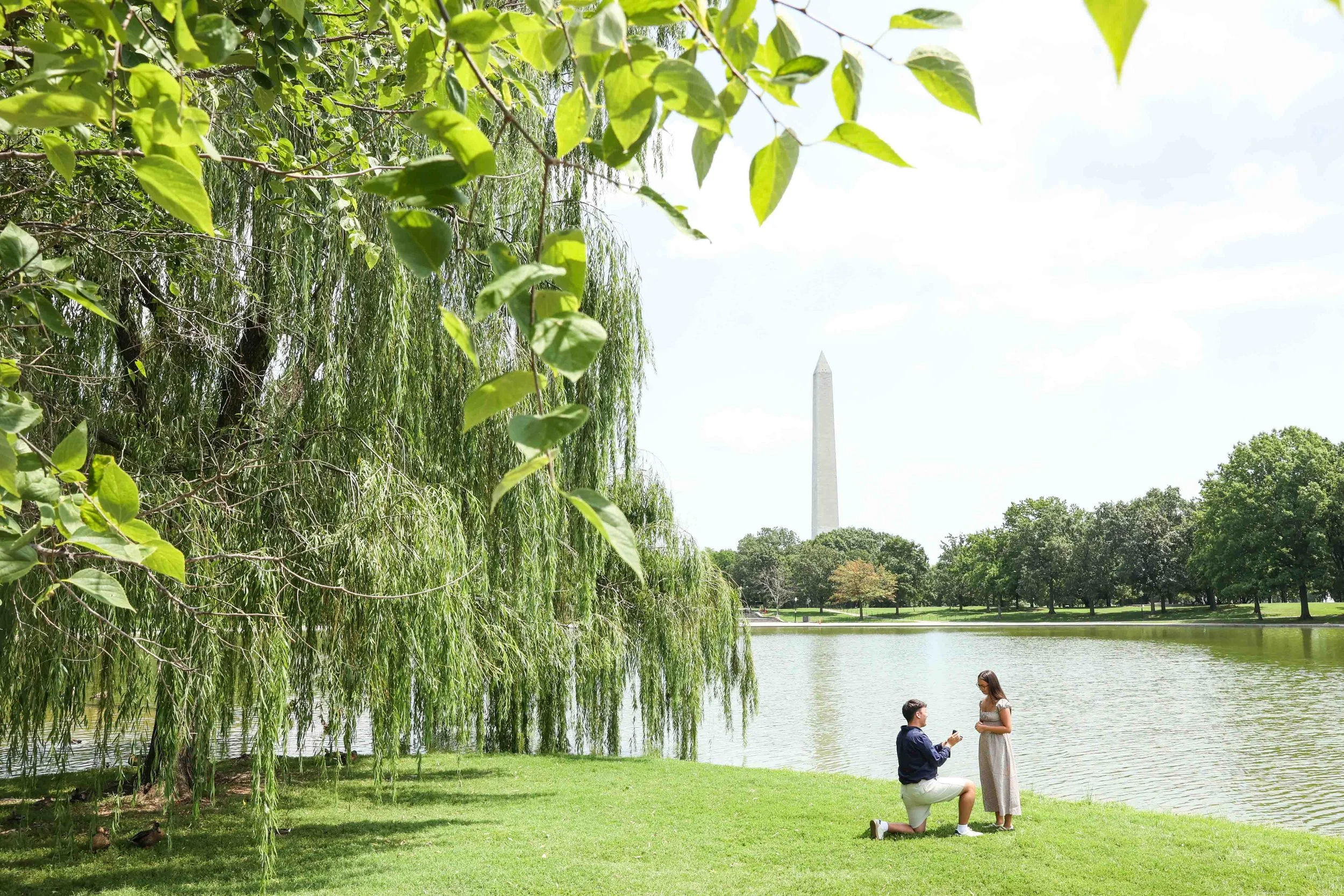 Washington DC Surprise Proposal Photographer