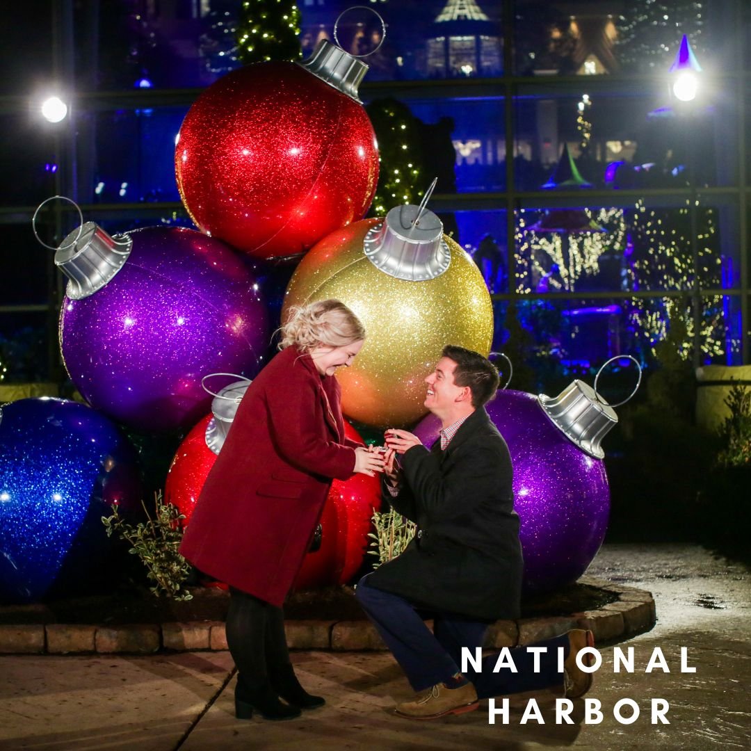 DC Proposal Photographers