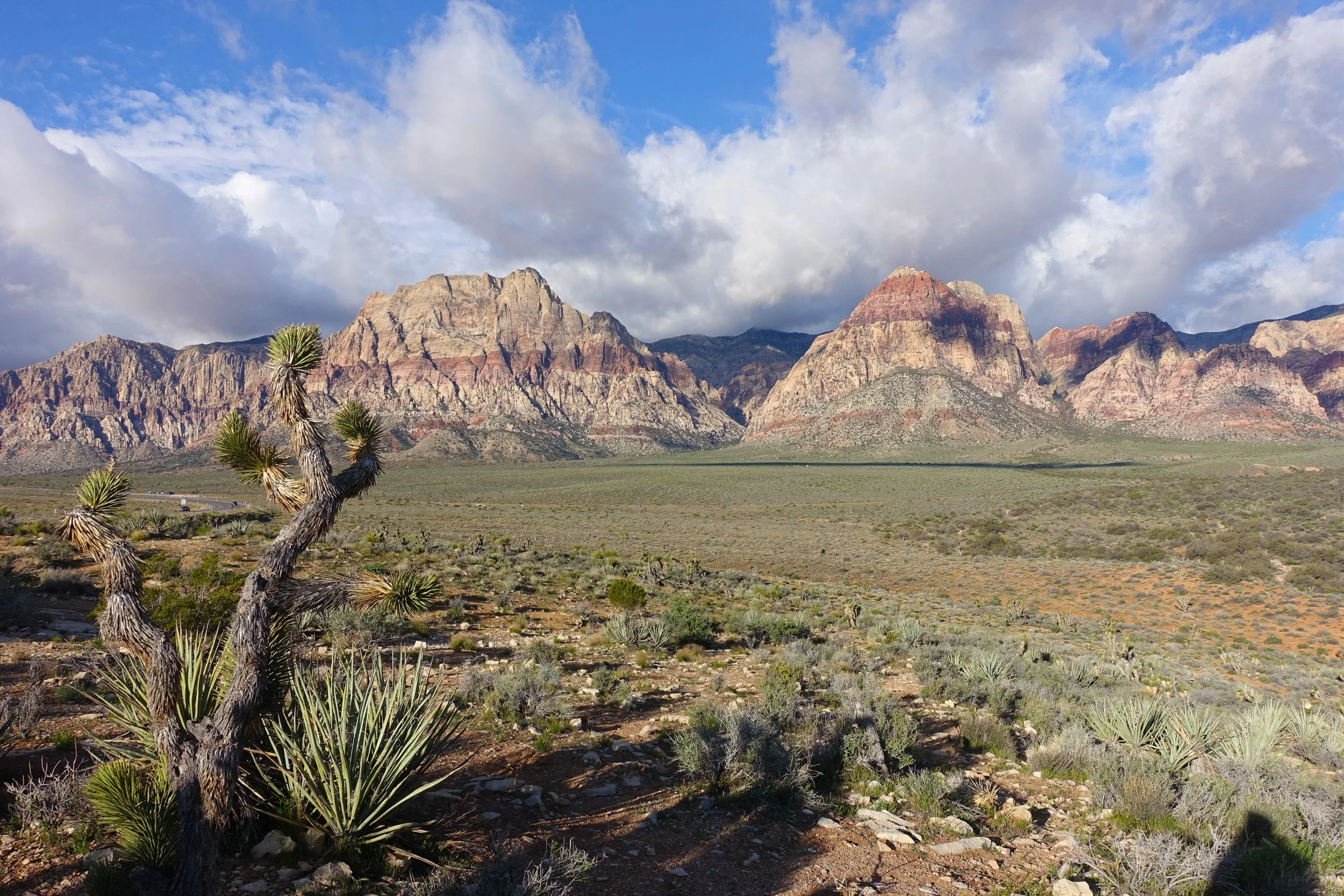 Red Rocks, NV — Alpine Endeavors