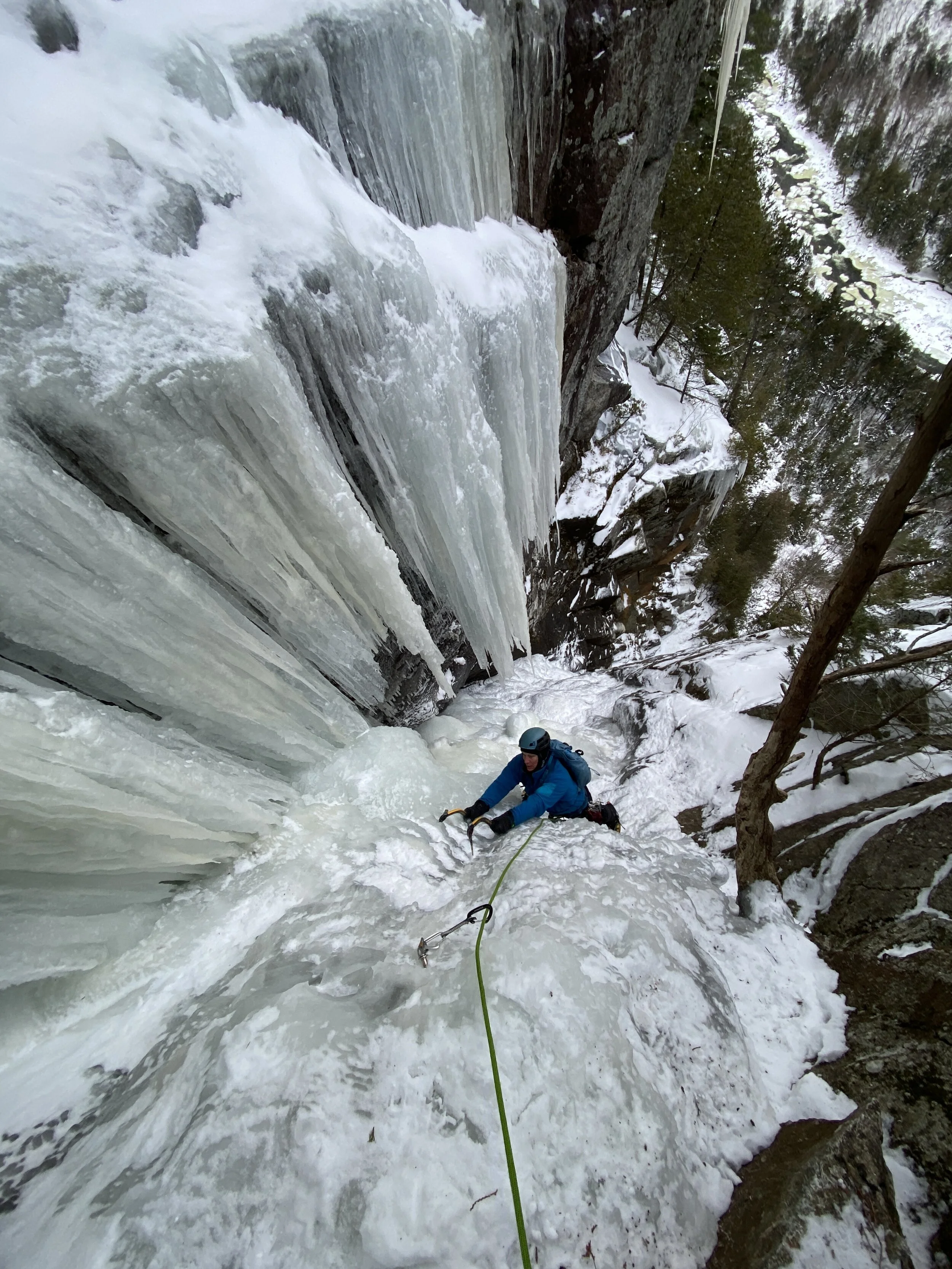 Mutliplication Gully.JPG