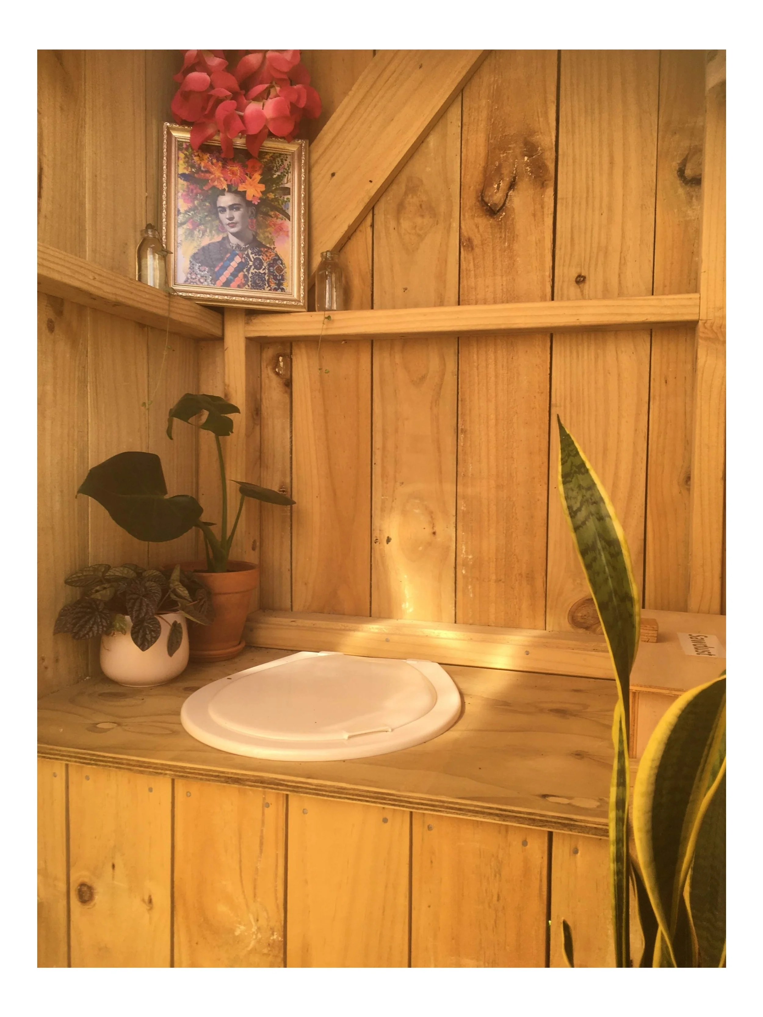 Frida%2BLGD.jpg