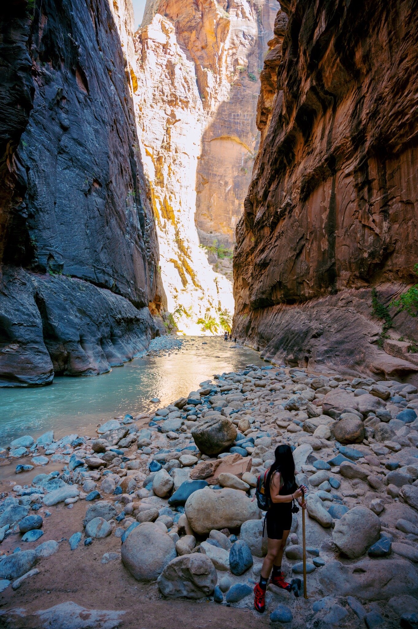 Everything You Need To Know Before Visiting The Narrows At Zion National  Park — Savory Escape
