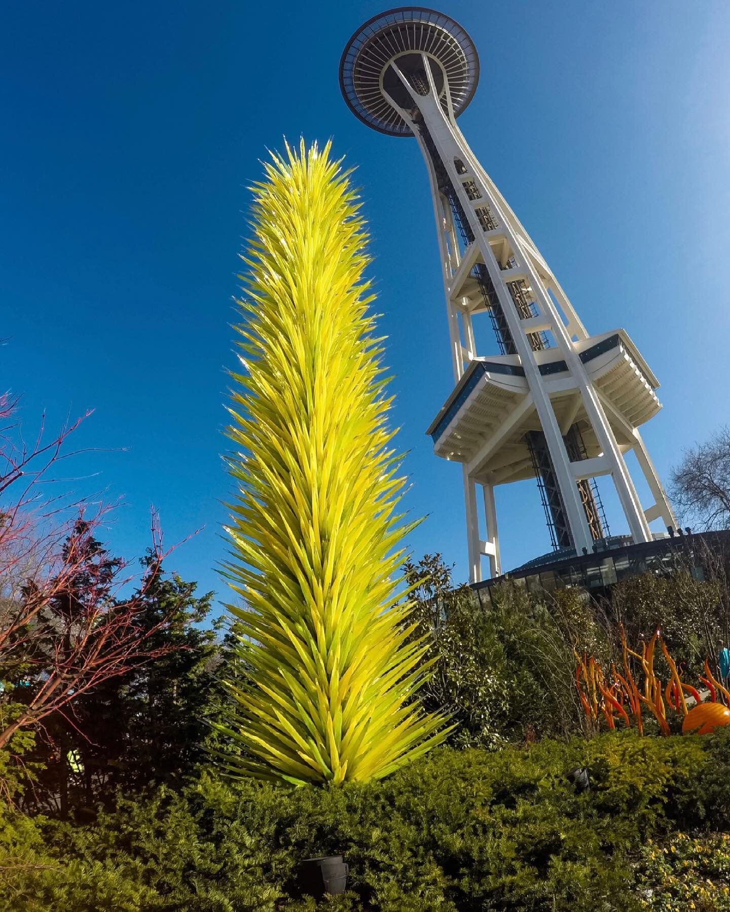 Views of the Space Needle at Chihuly Glass and Garden in Seattle 😍

#seattle #chihuly #washington #artexhibit #chihulyglass