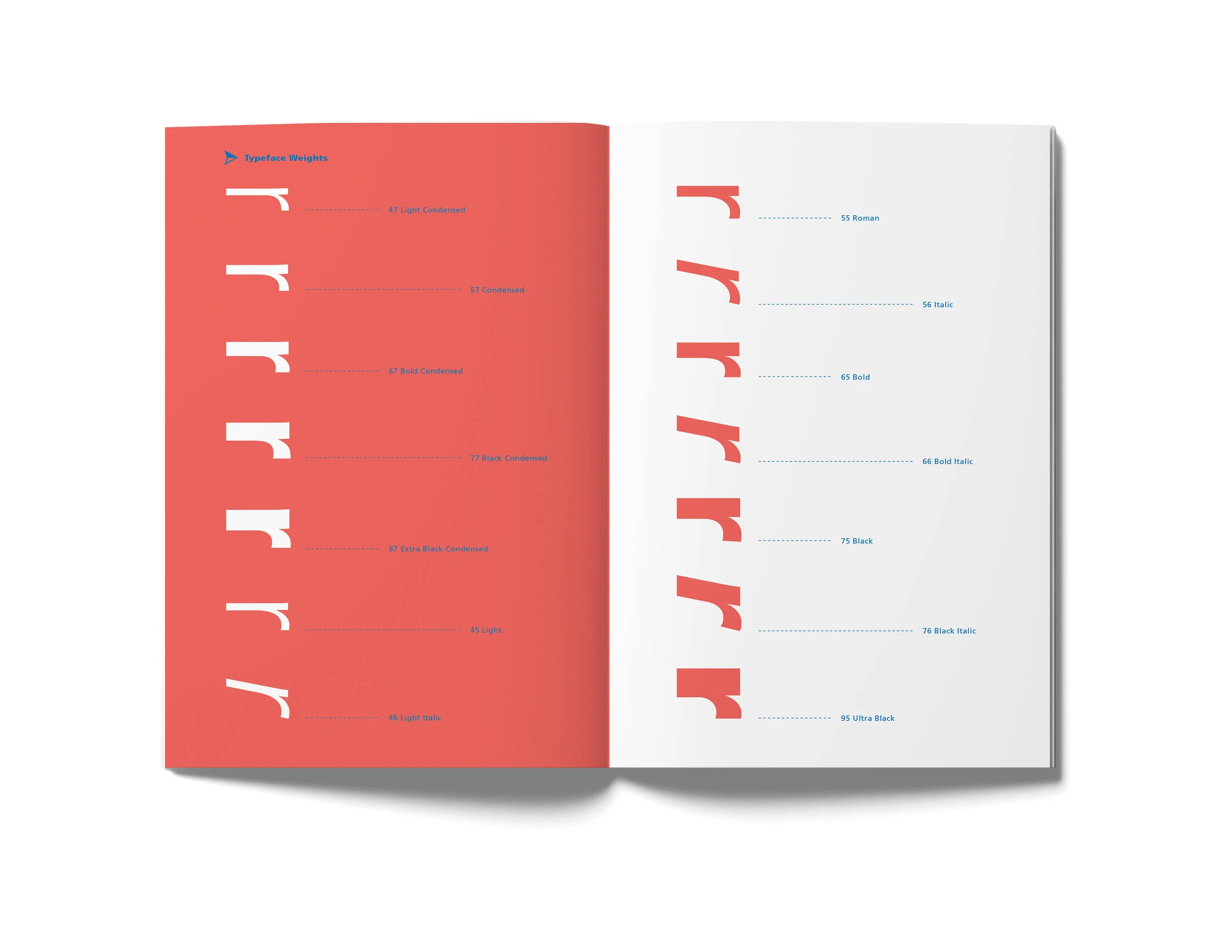 book mockup-Recovered.jpg