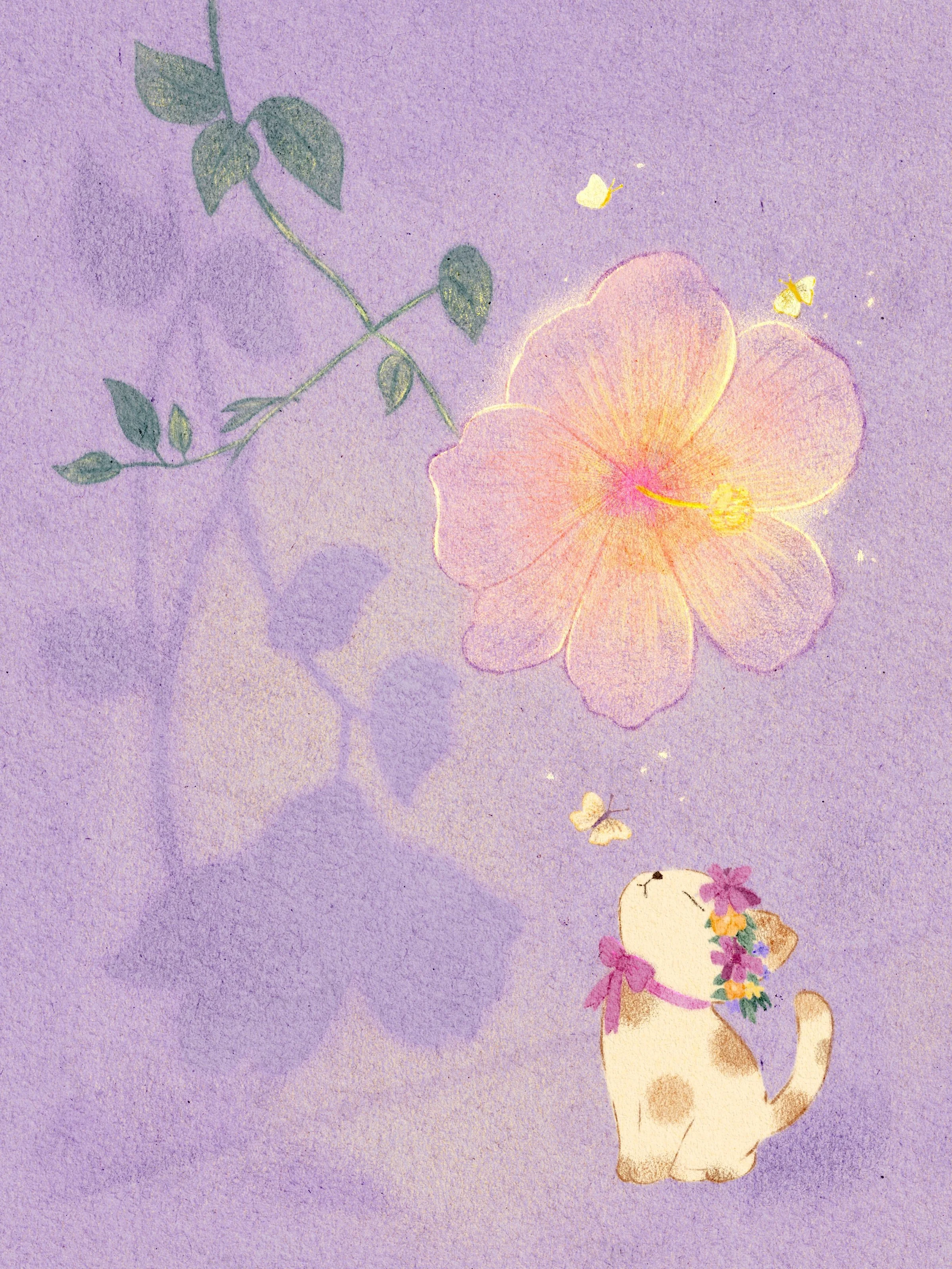 紫色背景花朵猫咪.jpg